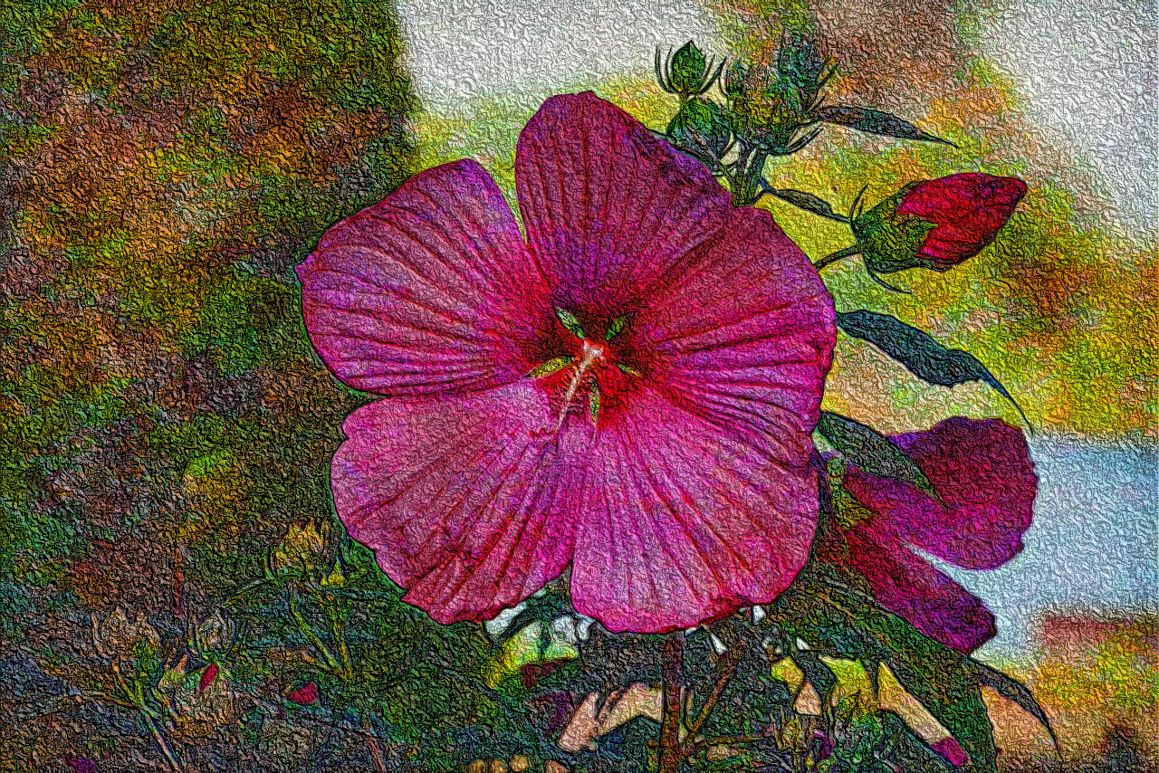 pink-flower-3614208_DN_DrawEffect_R2.jpg