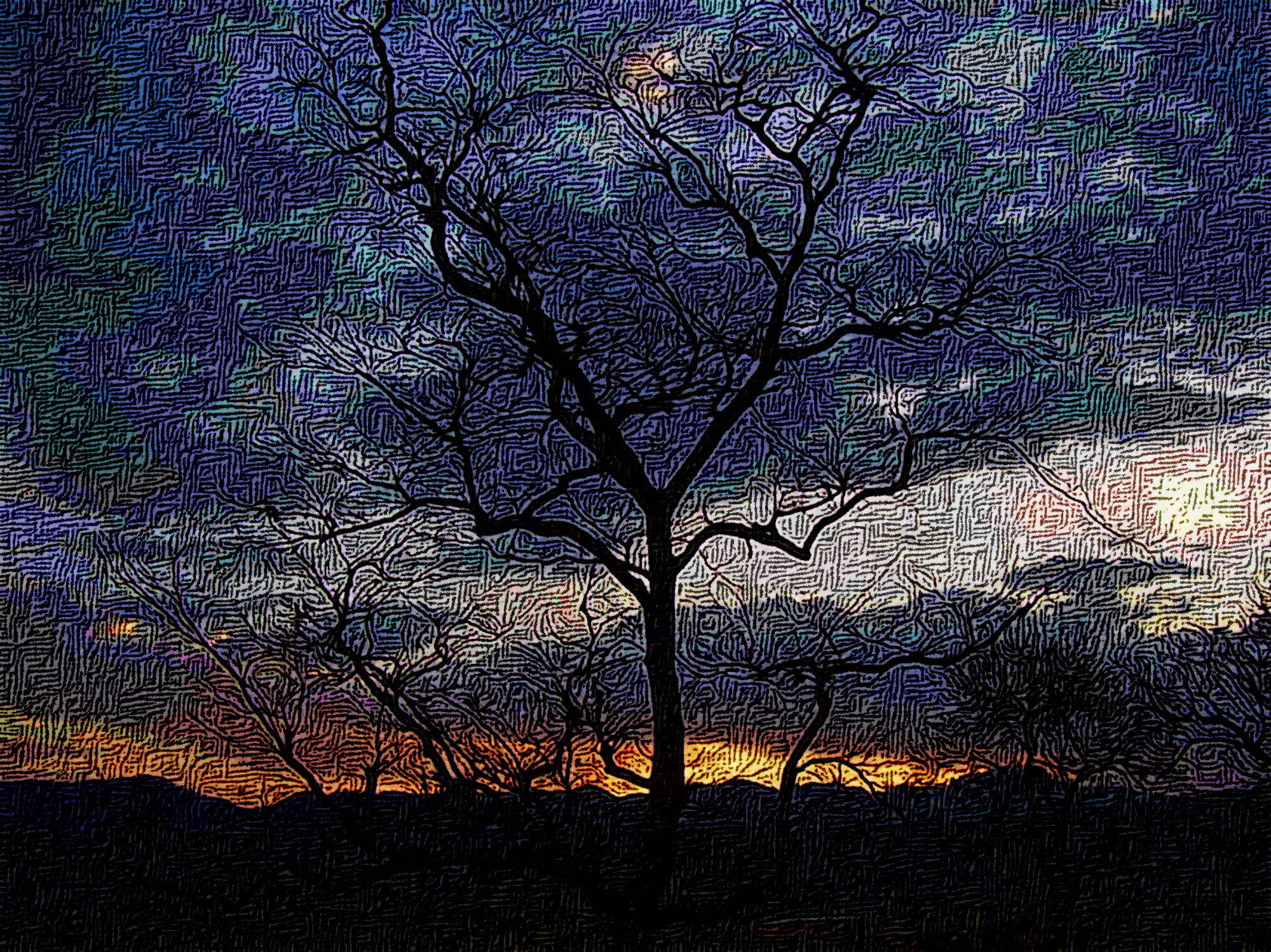 sunset-scenary-from-corbatte-national-park-dhikala-ua-india-DN_DrawEffect_S_Crossed_nb.jpg