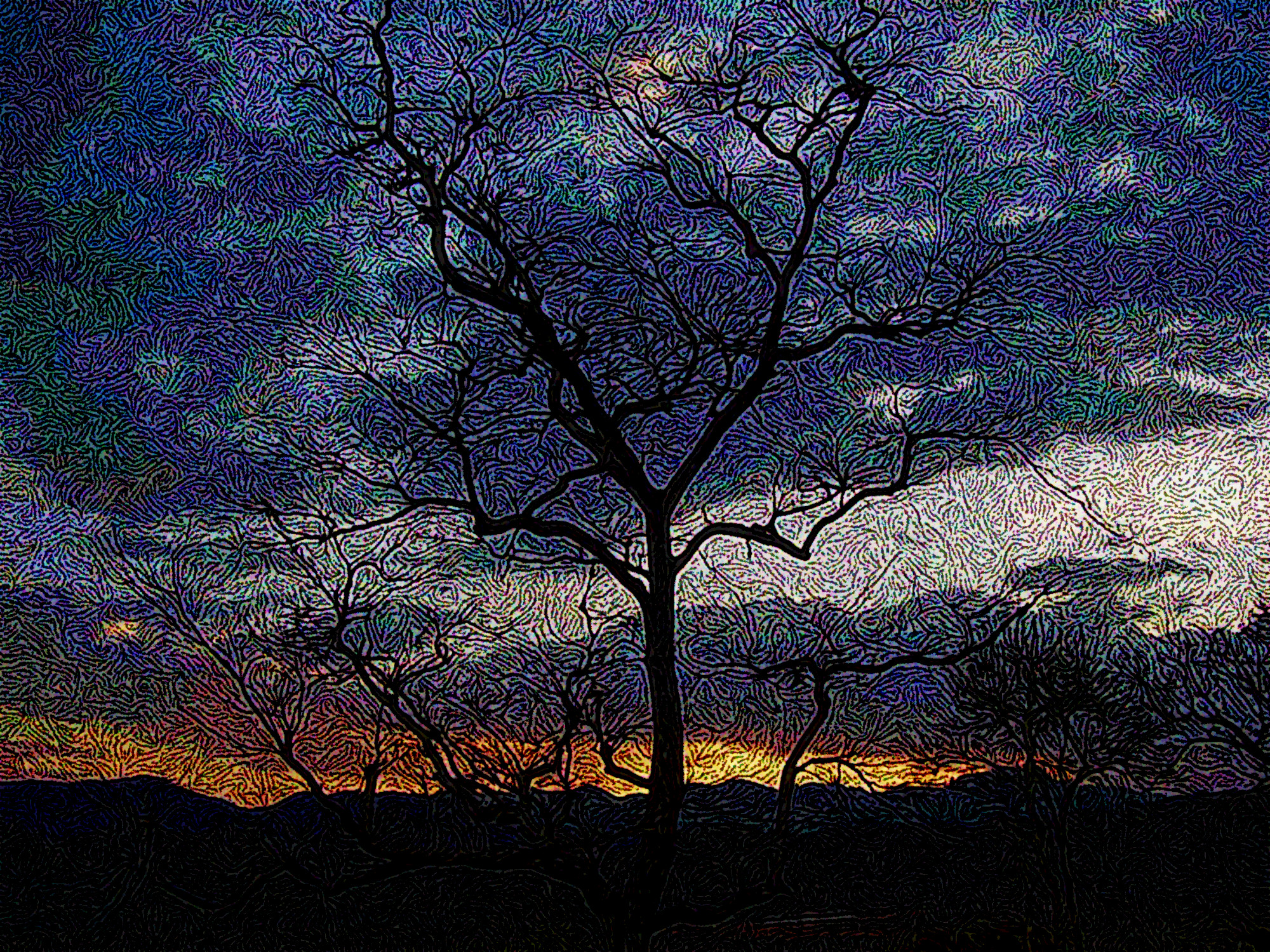sunset-scenary-from-corbatte-national-park-dhikala-ua-india-DN_DrawEffect_S_Twirled_nb.jpg