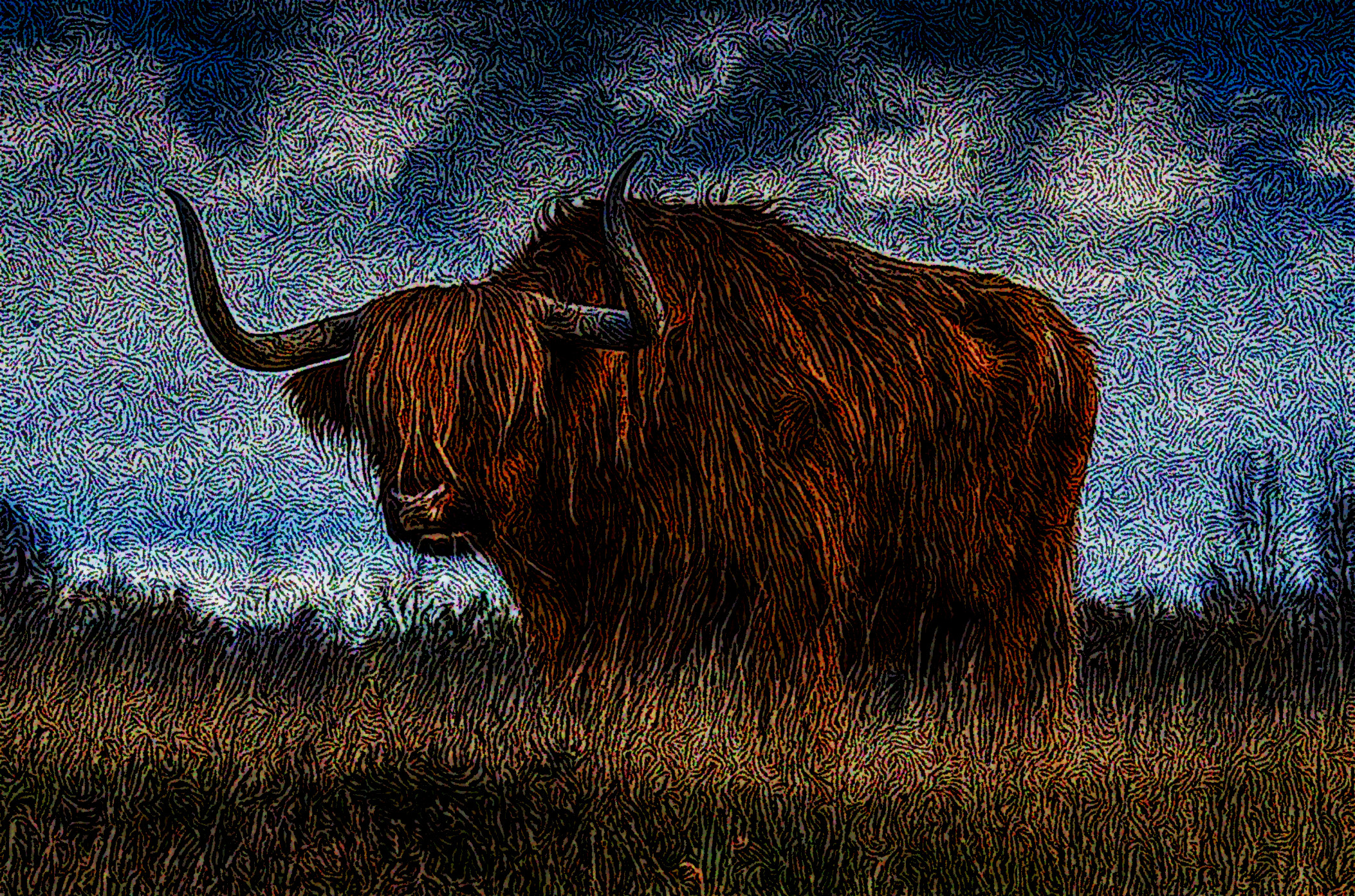 highland-cow-1575003_DN_DrawEffect_S_Twirled.jpg