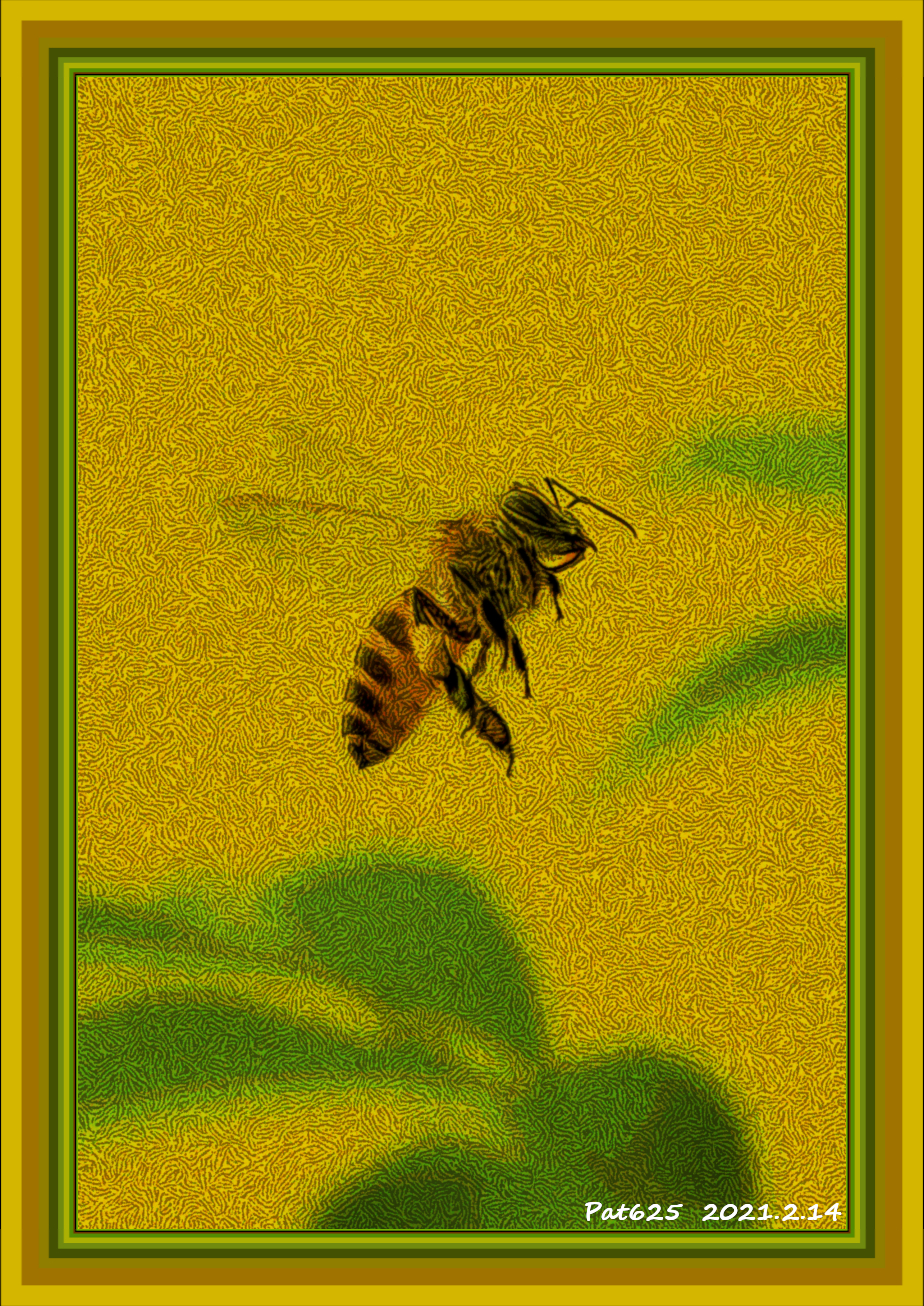 Bee.DN.DrawStyle S.Twirled.jpg