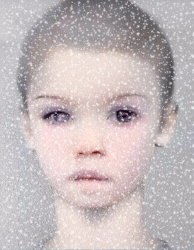 Waif [with cataract] in snow x250.gif