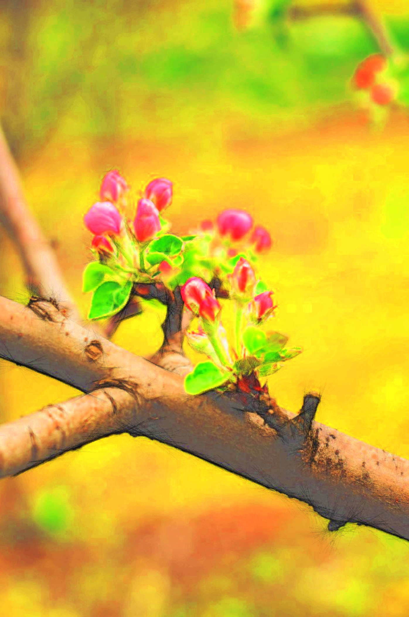 blooming-apple-tree-in-the-garden-1641500_DN_DrawEffect_T_Coloured_LinearBurn_nb.jpg