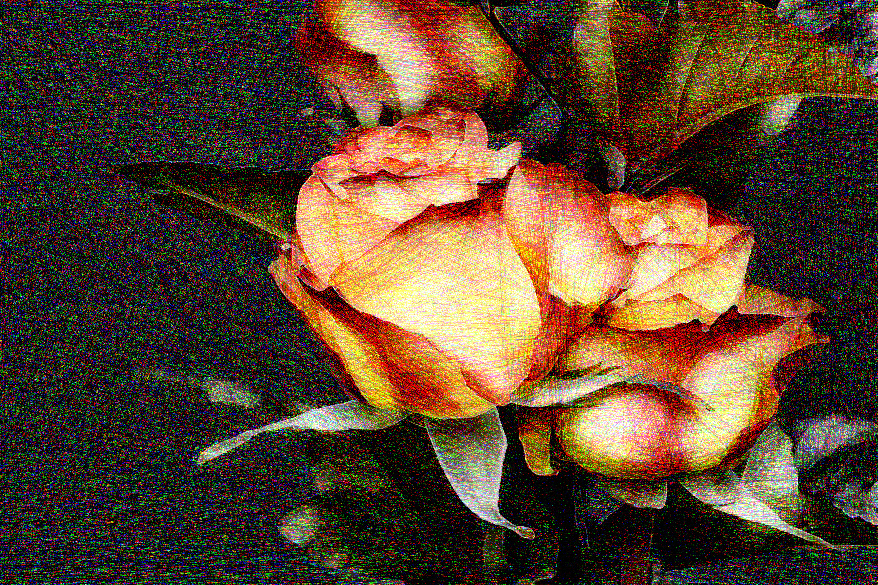 2021-02-22 11-13-43 rose-3063284_1920 stroked by G'mic Emboss, Sharp abstract and Linify.jpeg
