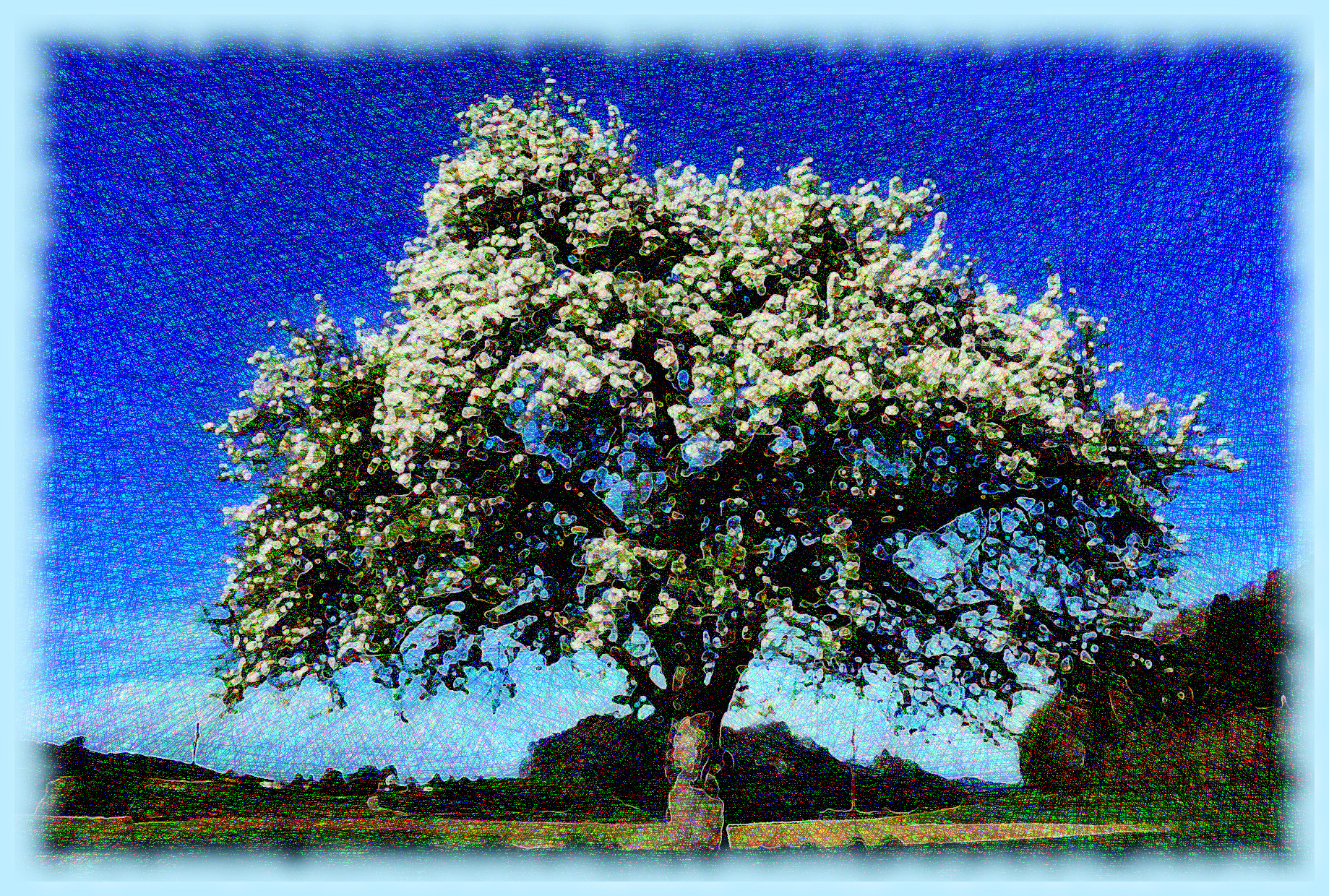 apple-tree-463979_DN_DrawEffect_V.jpg