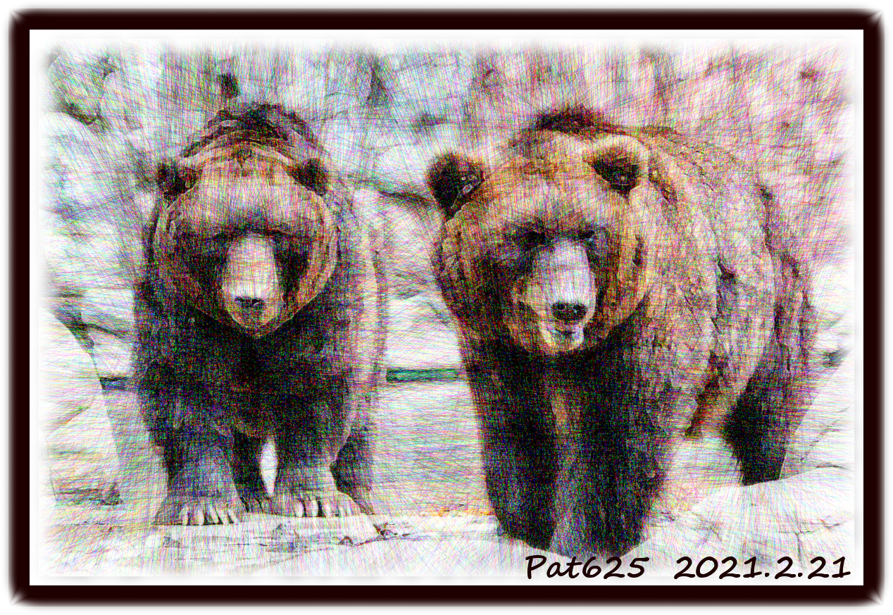 Bears.DN.DrawingStyle_V.jpg