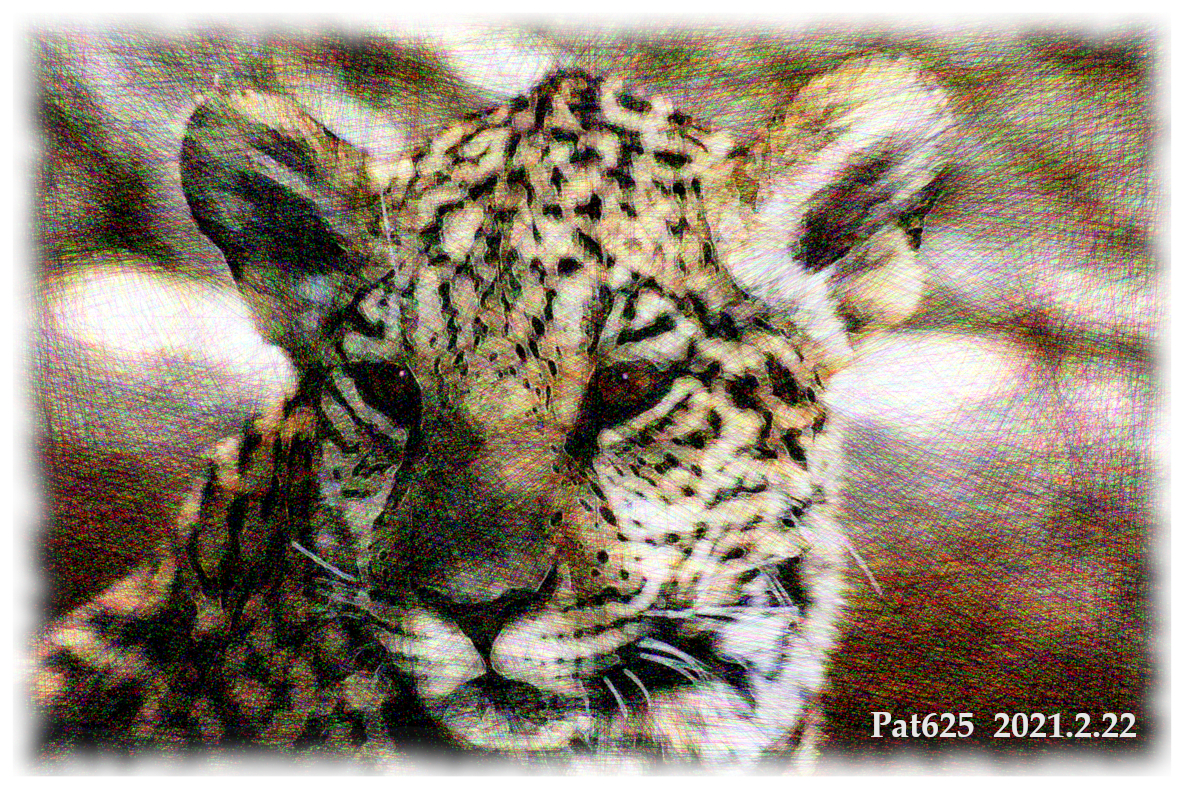 Leopard.DN.DrawStyle_V.jpg