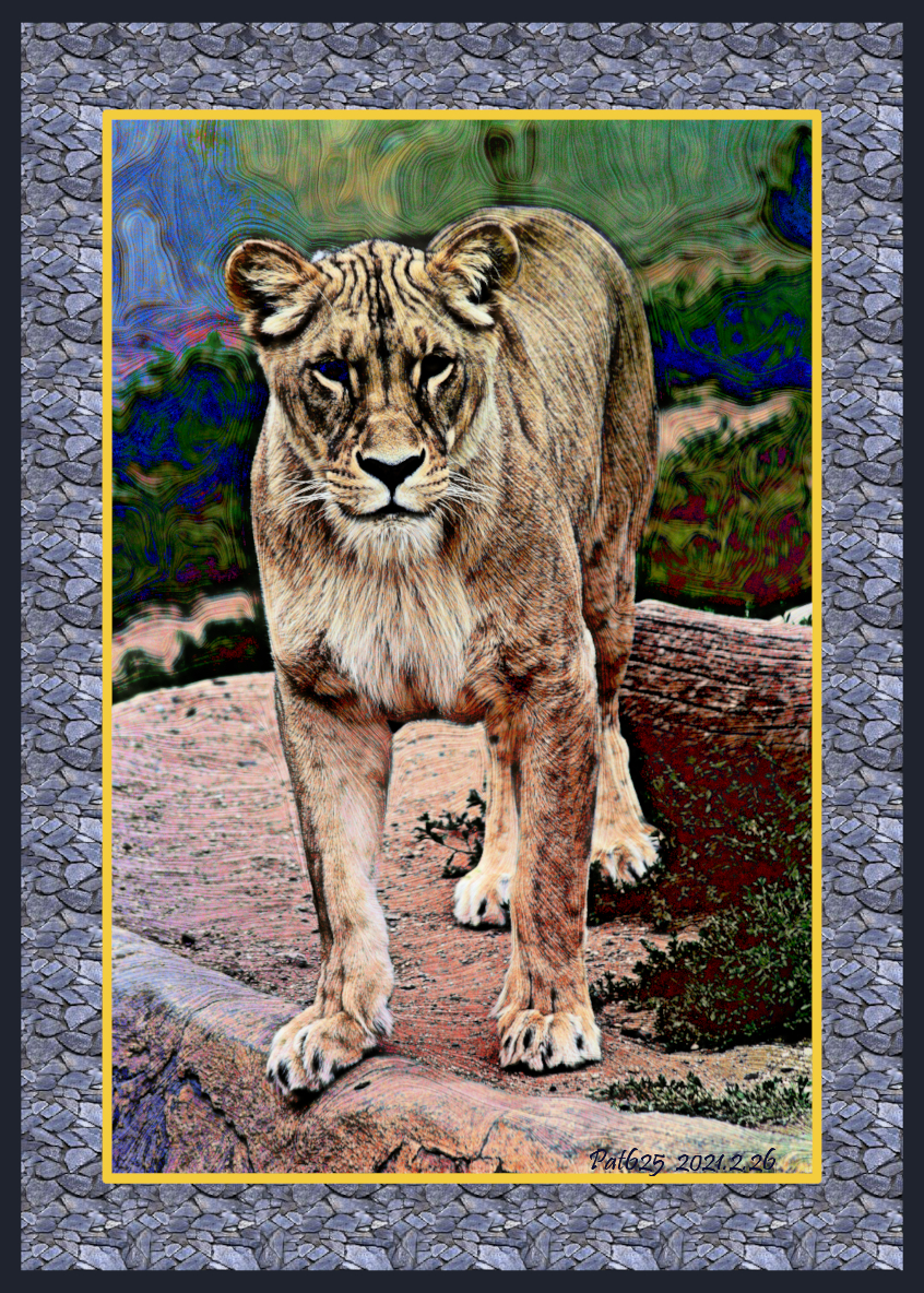 Lioness.DN.DrawStyle_Z.jpg