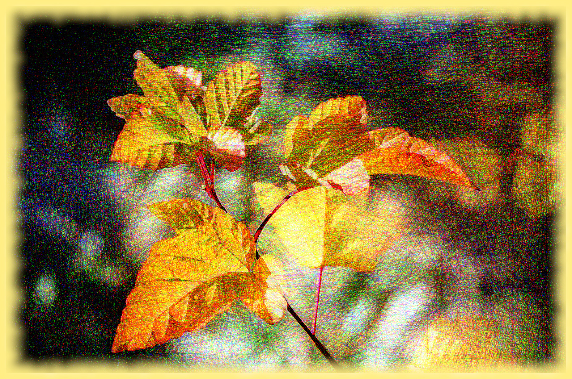 leaves-5717222_DN_DrawEffect_V.jpg