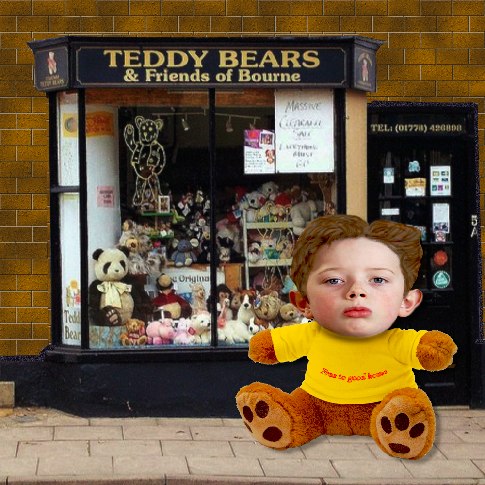 teddy_boy_manip.png