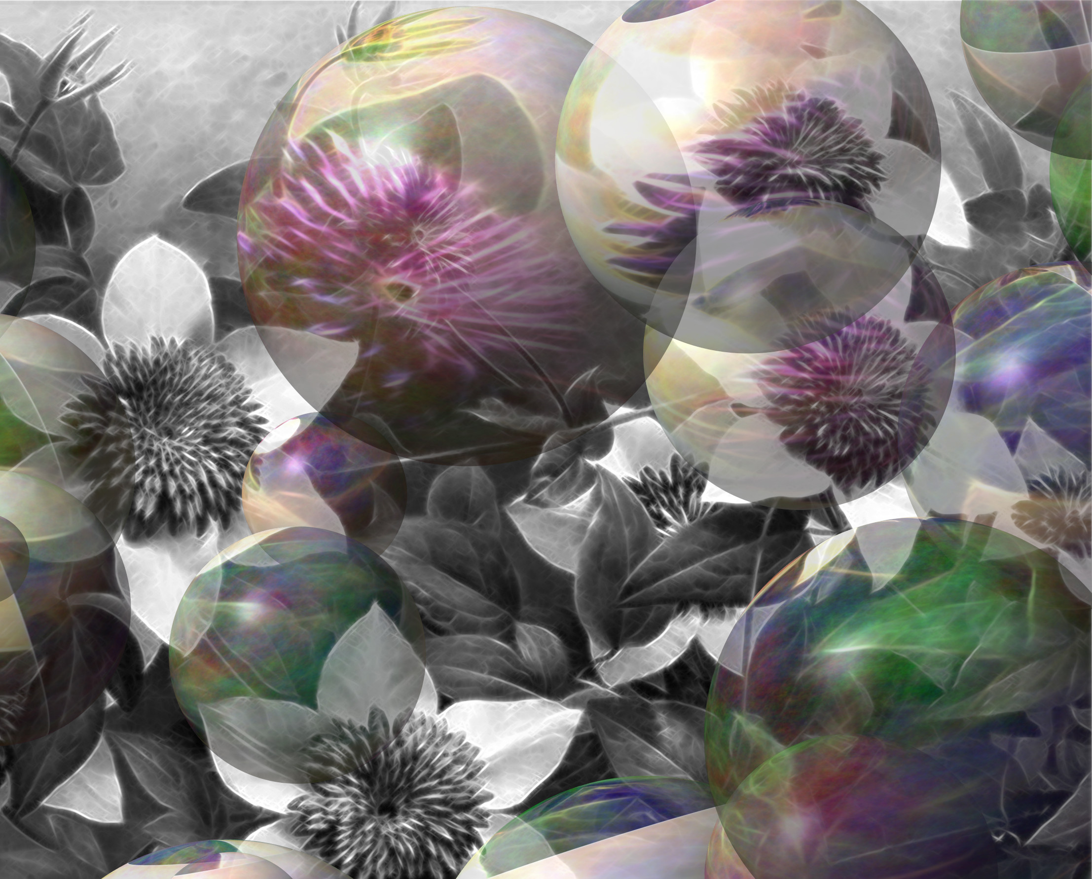 1d579_Fondo_Floral_DN_Decor_Particles_Through_SphereMap_Desaturate&Color.jpg