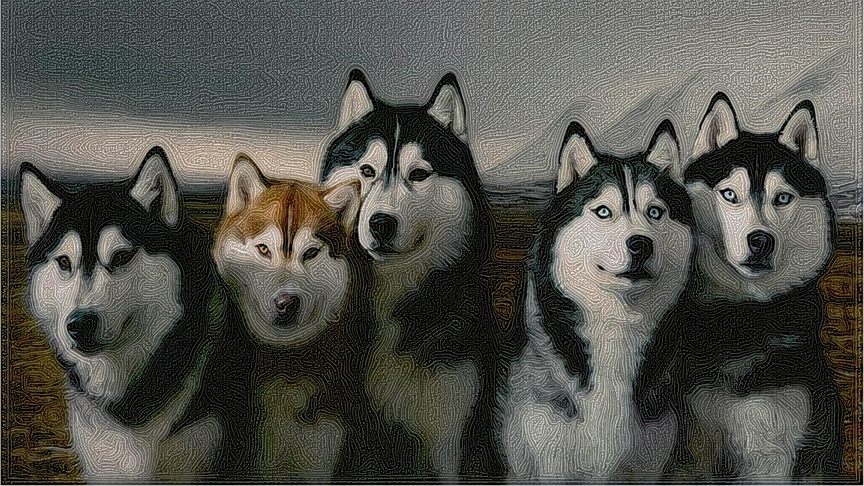 Husky Dogs_DN_Graphics_StringyLook.jpg