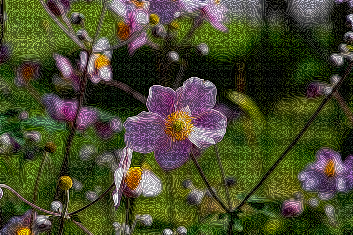 StringyLook.DN.Japanese.anemone.png
