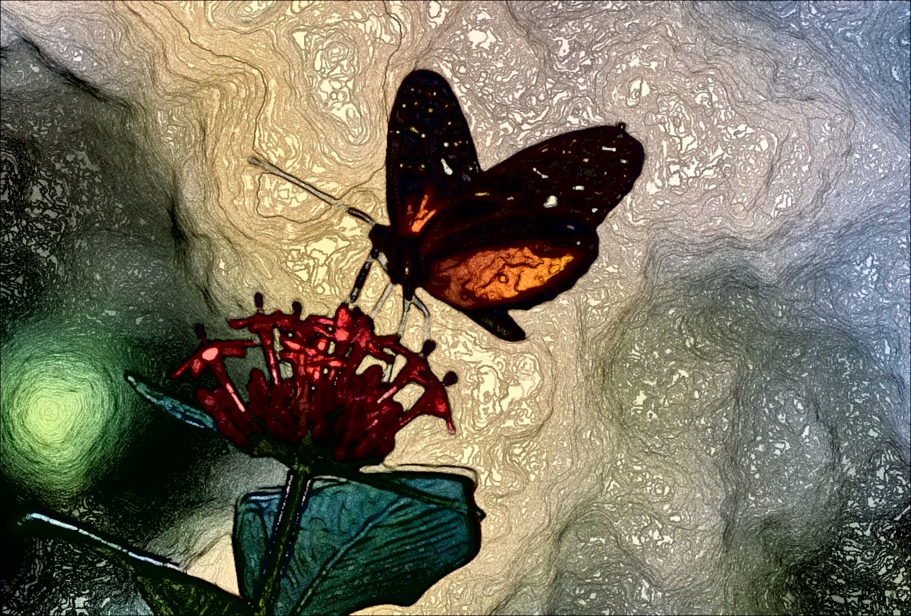 butterfly-5770034_DN_EasyEffect_StyleA.jpg