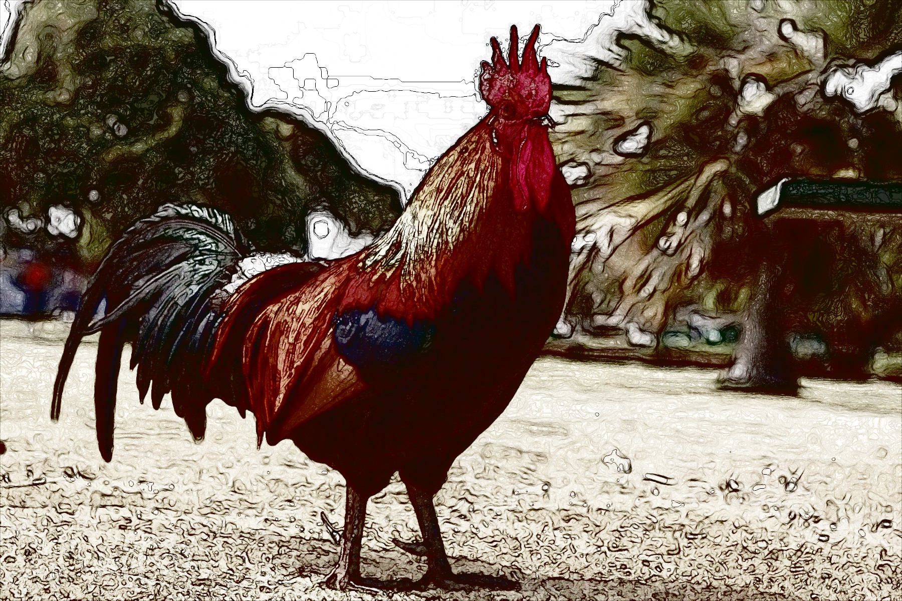 rooster-1867562_DN_EasyEffect_StyleA.jpg