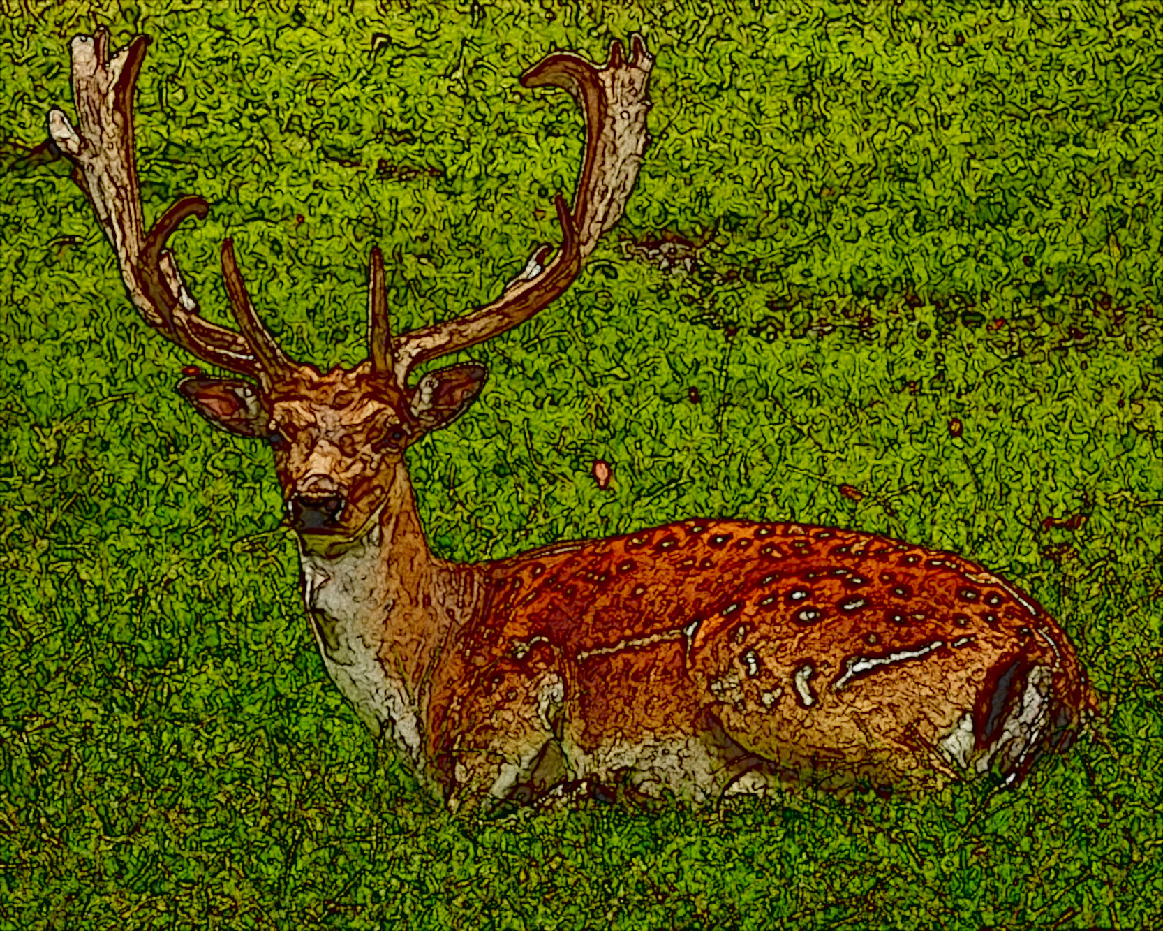 2021-04-24 15-42-19 antler-antler-carrier-fallow-deer-hirsch with effect A (MedianBlur+Edge), option colours (normal texture) and draw look=medium.jpeg