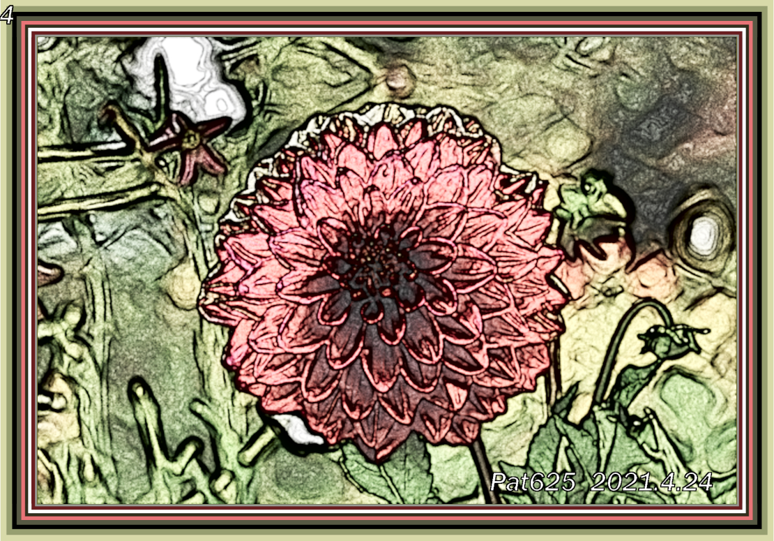 DN.EasyDrawA.Flower. (MedianBlur+Edge),Colours-B&W (C2G) (strong texture) Draw look=medium.jpg