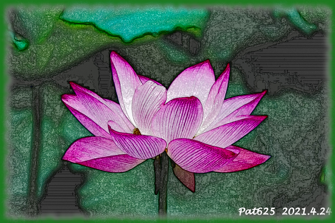 DN.EasyEffect A.Lotus(MedianBlur+Edge)Colours (delicate texture) Draw look=small.jpg