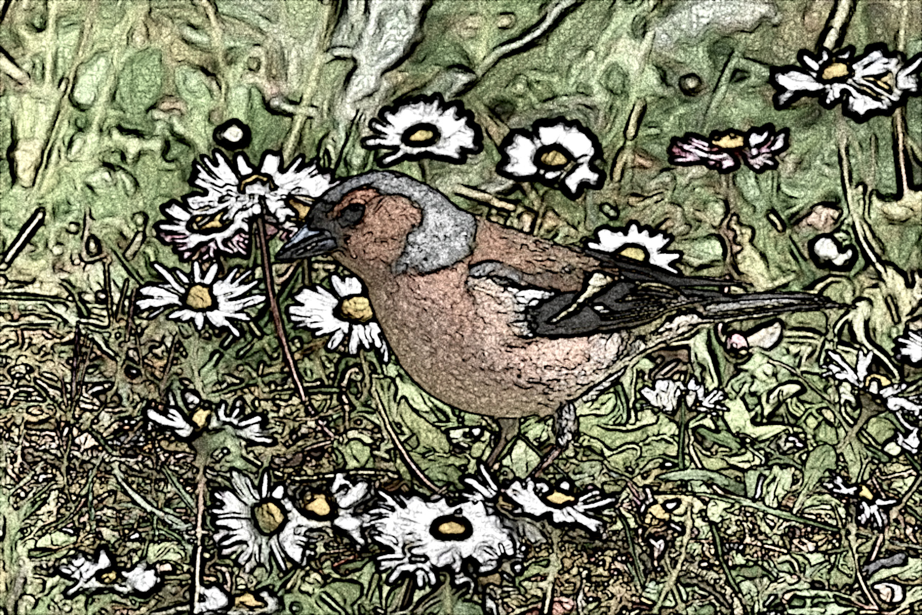 2524_spring_for_the_chaffinch_by_realmantis_DN_EasyEffect_StyleA.jpg