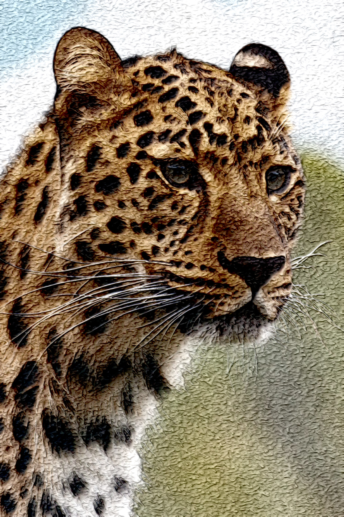 2021-04-28 09-51-47 cheetah-leopard-animal-big-87403 with effect B (MeanCurvature+Neon), option colours (noised) (normal texture) and edges=medium.jpeg