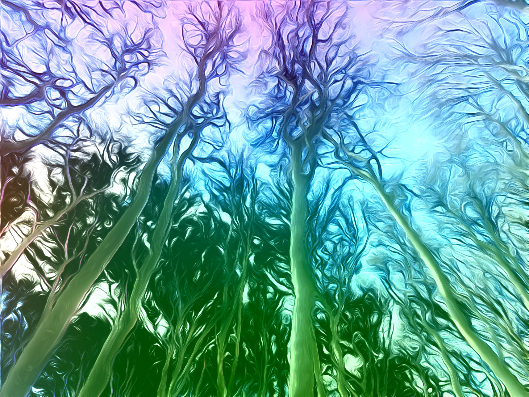 2021-05-24 08-18-59 landscape-tree-nature-forest-branch-snow-766978-pxhere with JVID effect A (DreamSmooth+Barbouillage).jpg