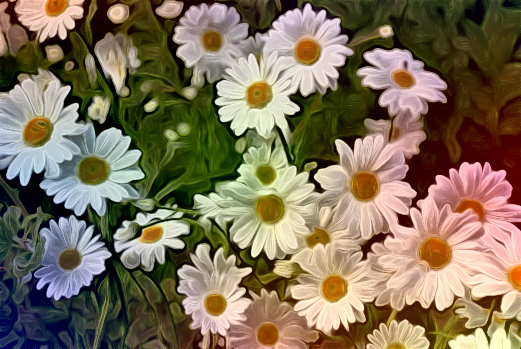 daisy-flower-spring-marguerite-JvidEffect_A2.jpeg