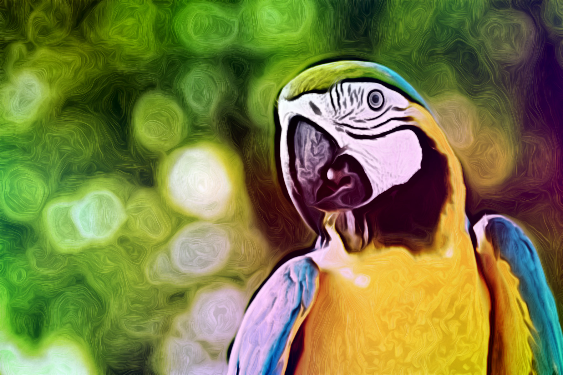 blue-and-yellow-macaw-16_41749_JvidEffect_A2.jpg