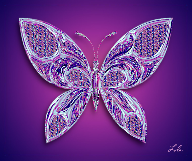 papillonlula2.jpg