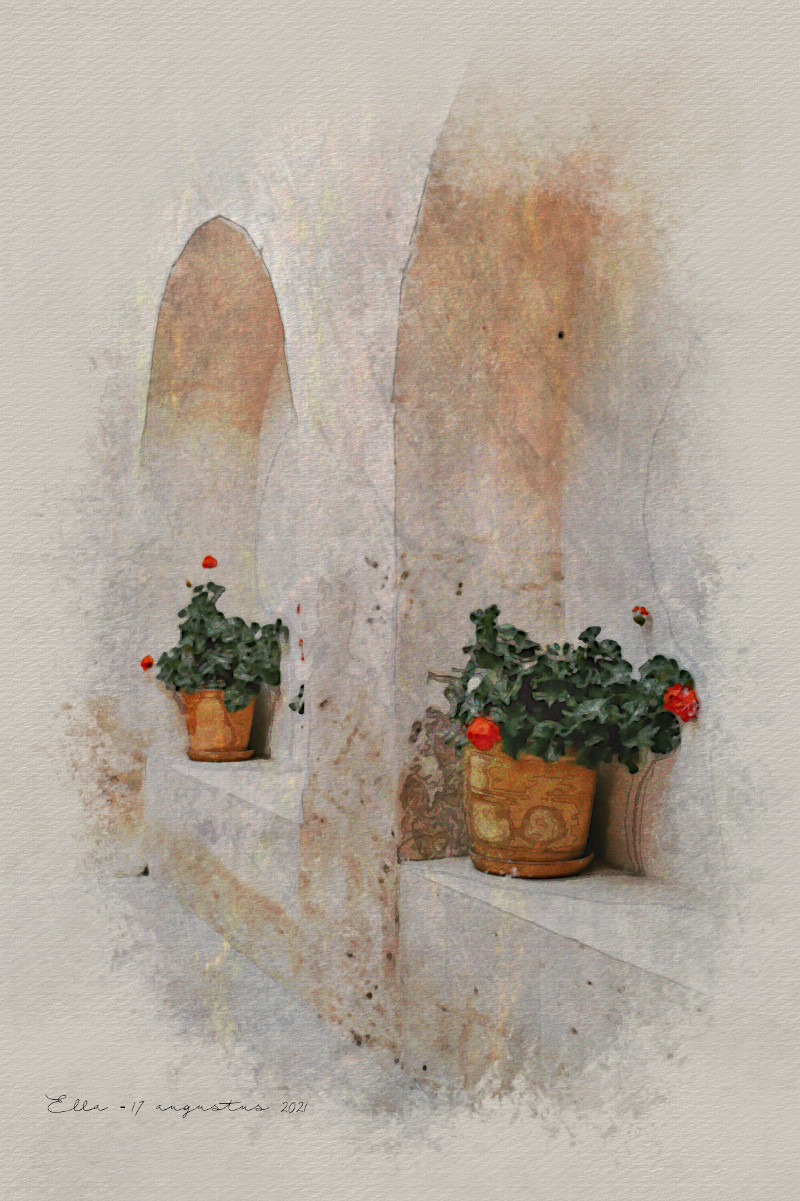 Watercolor.Jvid.LA.DN.Pelargonium.jpg