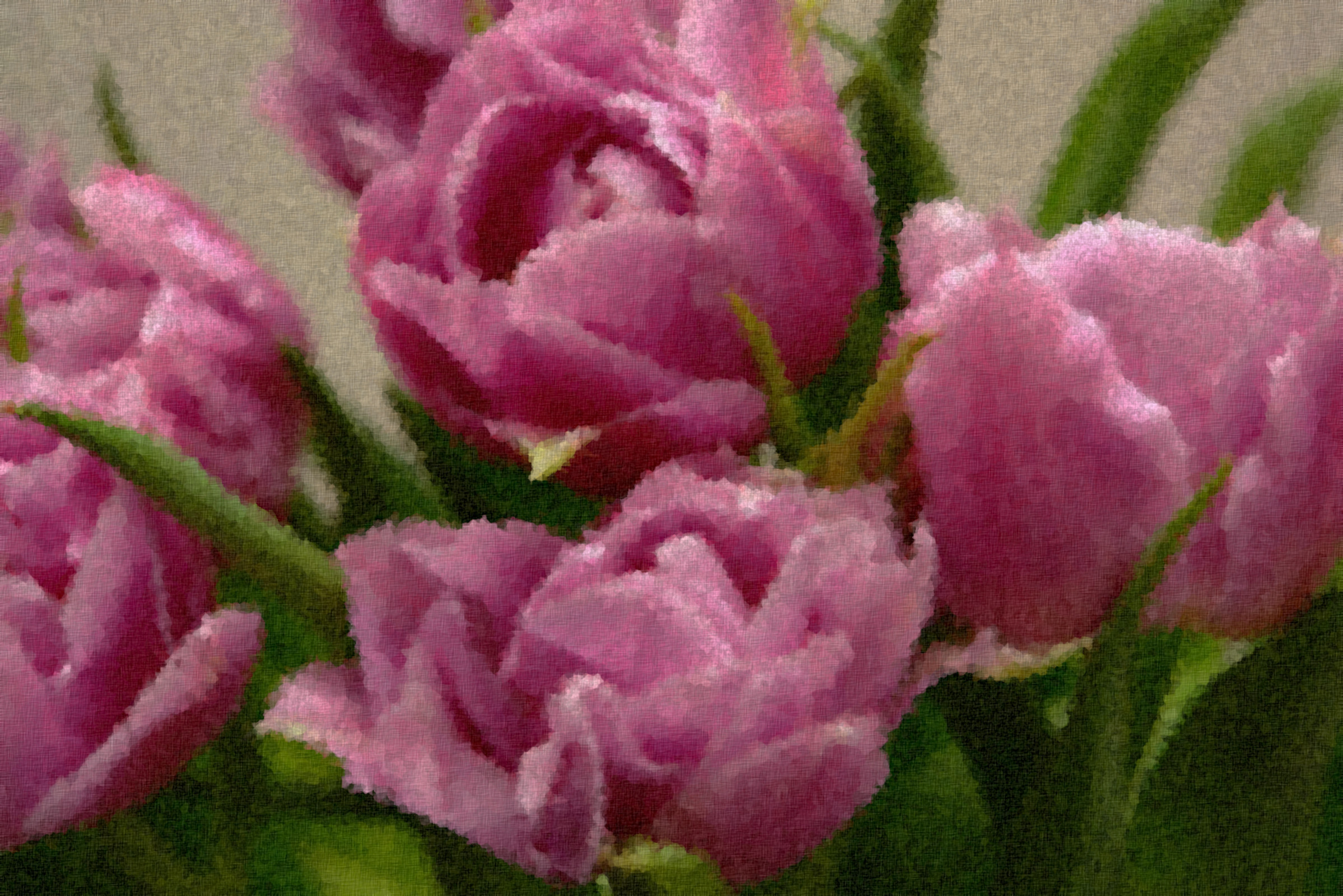 tulips-1377645_Graphic_Sponge_Effect_Jvid_Q.jpg