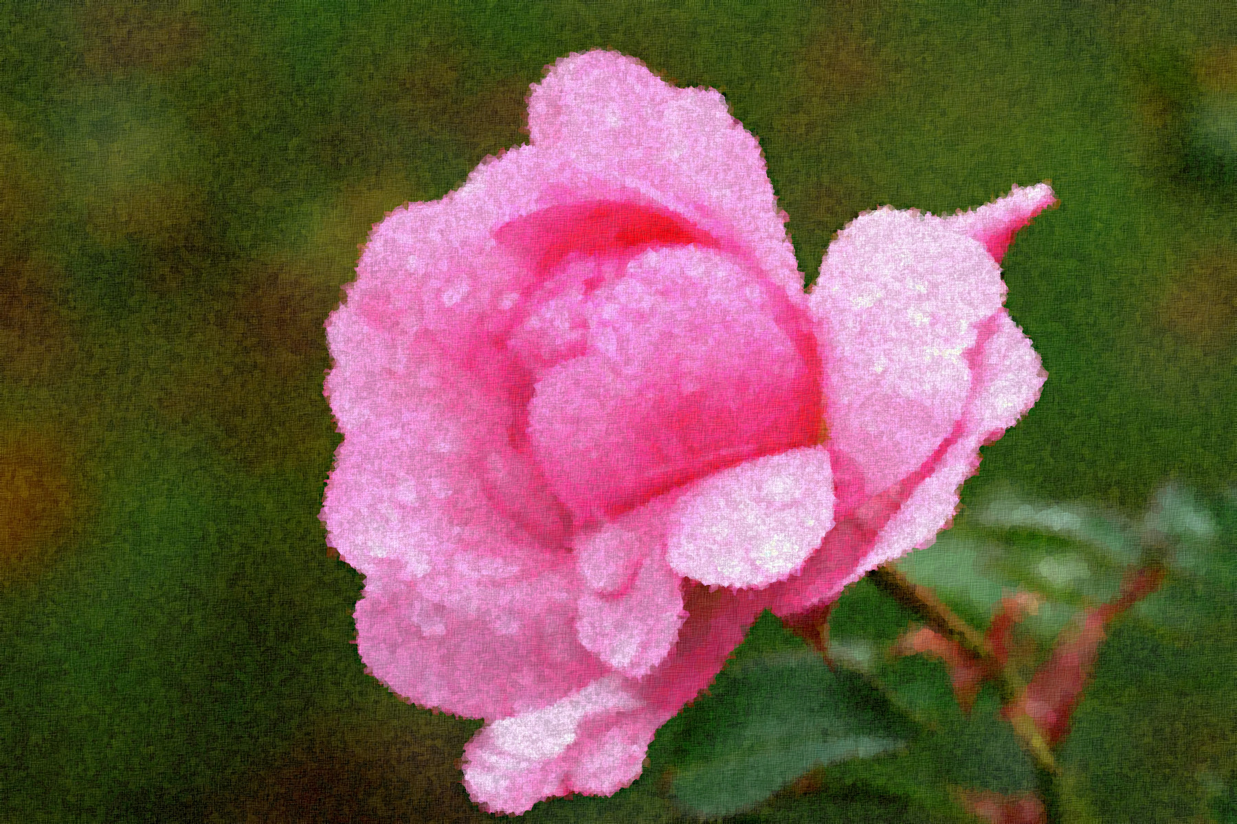 camellia-5746459_Graphic_Effect_Jvid_Q.jpg