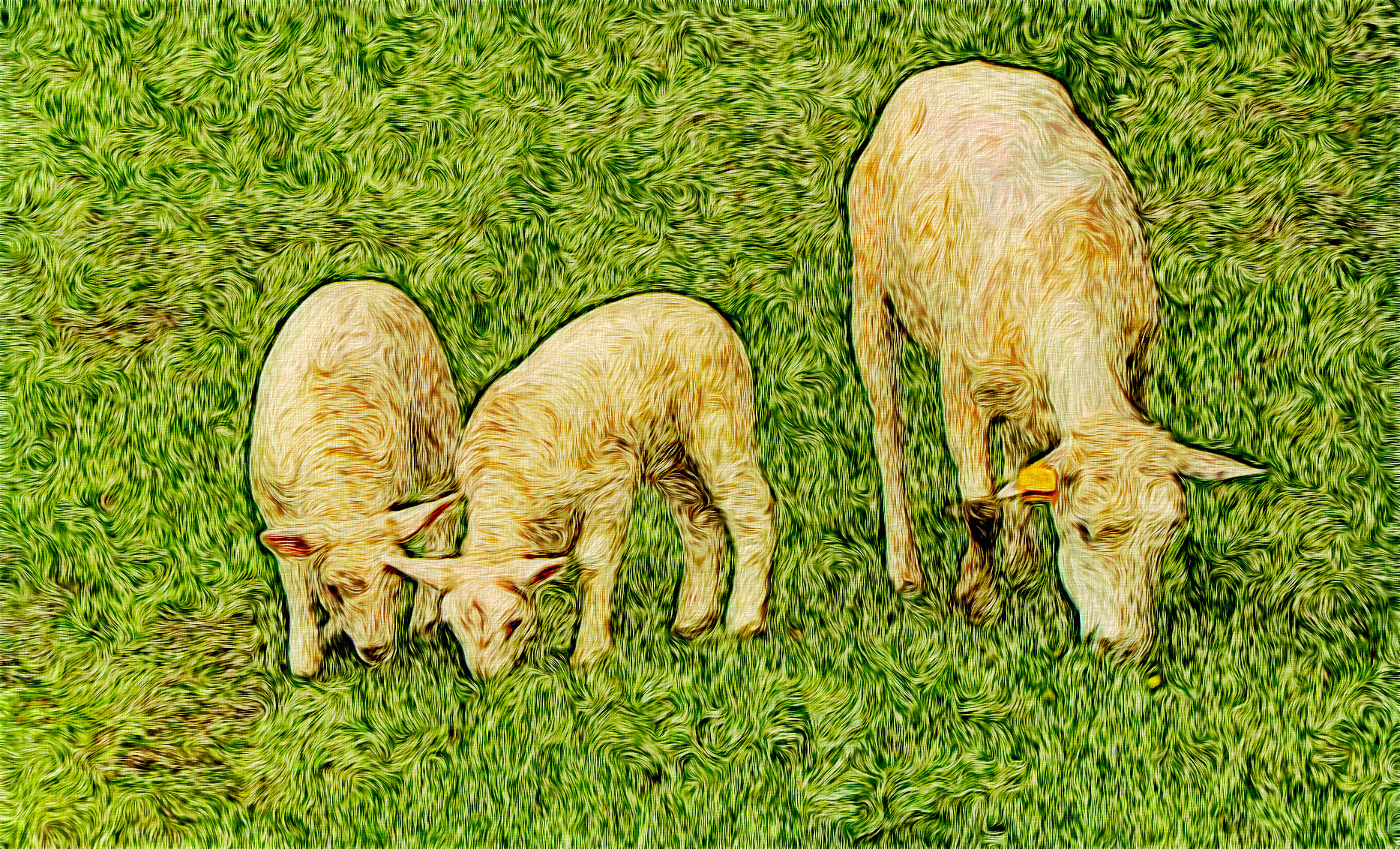 lamb-2-1248241_Graphic_Impasto_Effect_Jvid_R.jpg