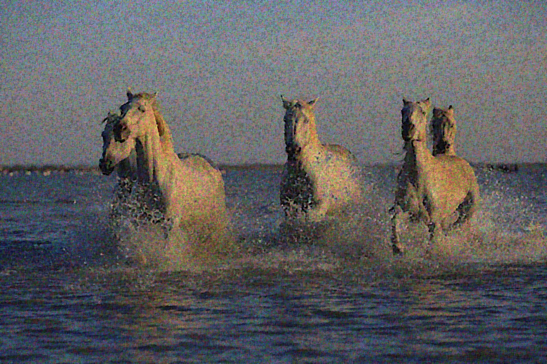 horses-1401707_Graphic_Sponge_Effect_Q2.jpg