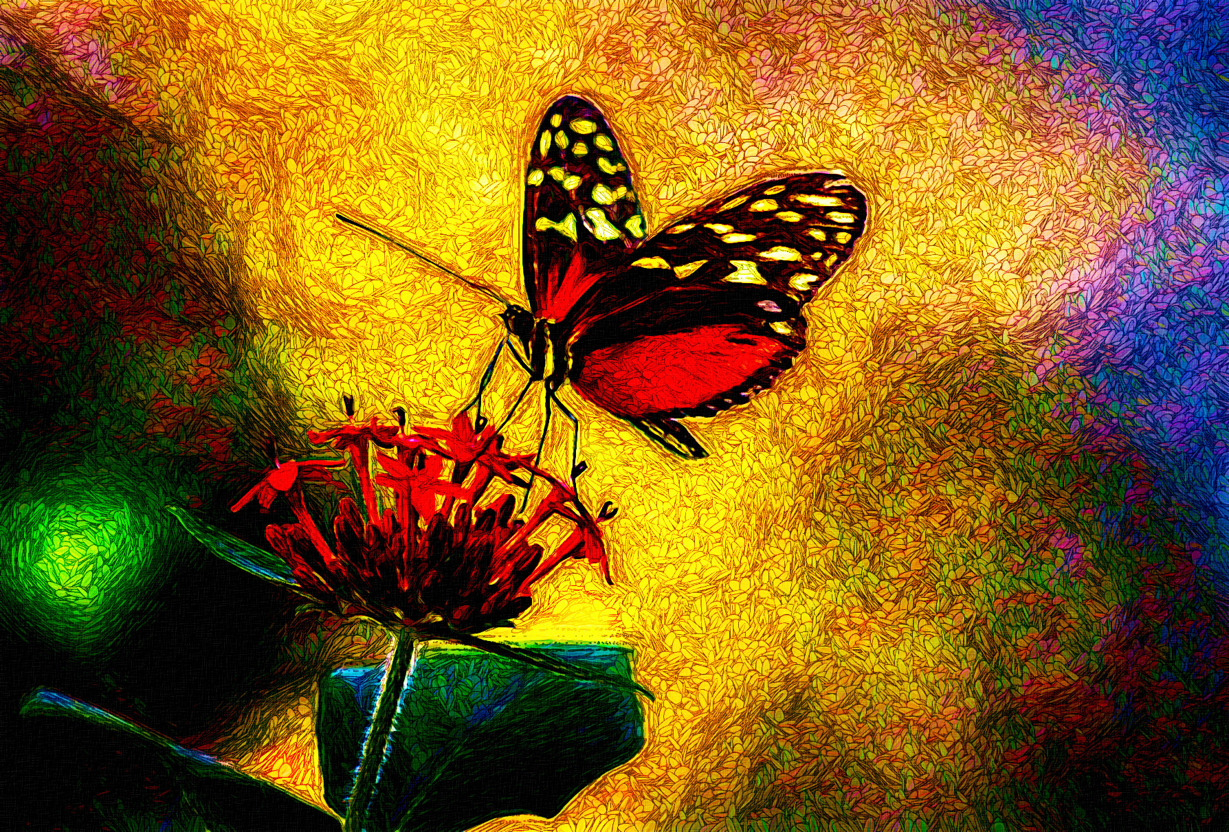 butterfly-5770034_Graphic_Fantasy_Effect_Jvid_S.jpg