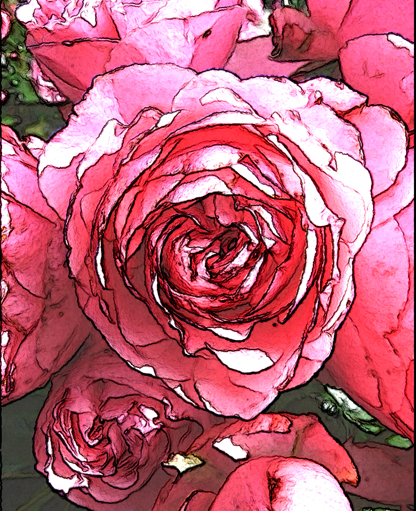 roses.DIEGO.SG.Colour.Medium.jpg