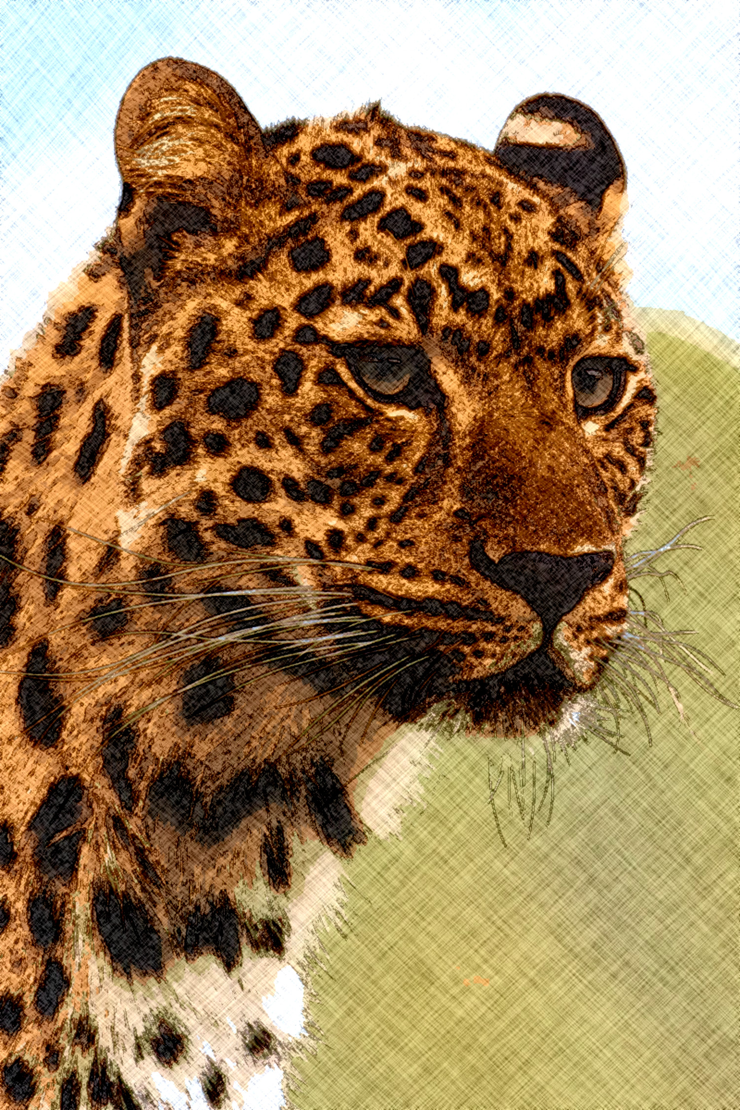 2021-11-29 16-34-20cheetah-leopard-animal-big-87403 with a sketch and paint look.jpeg