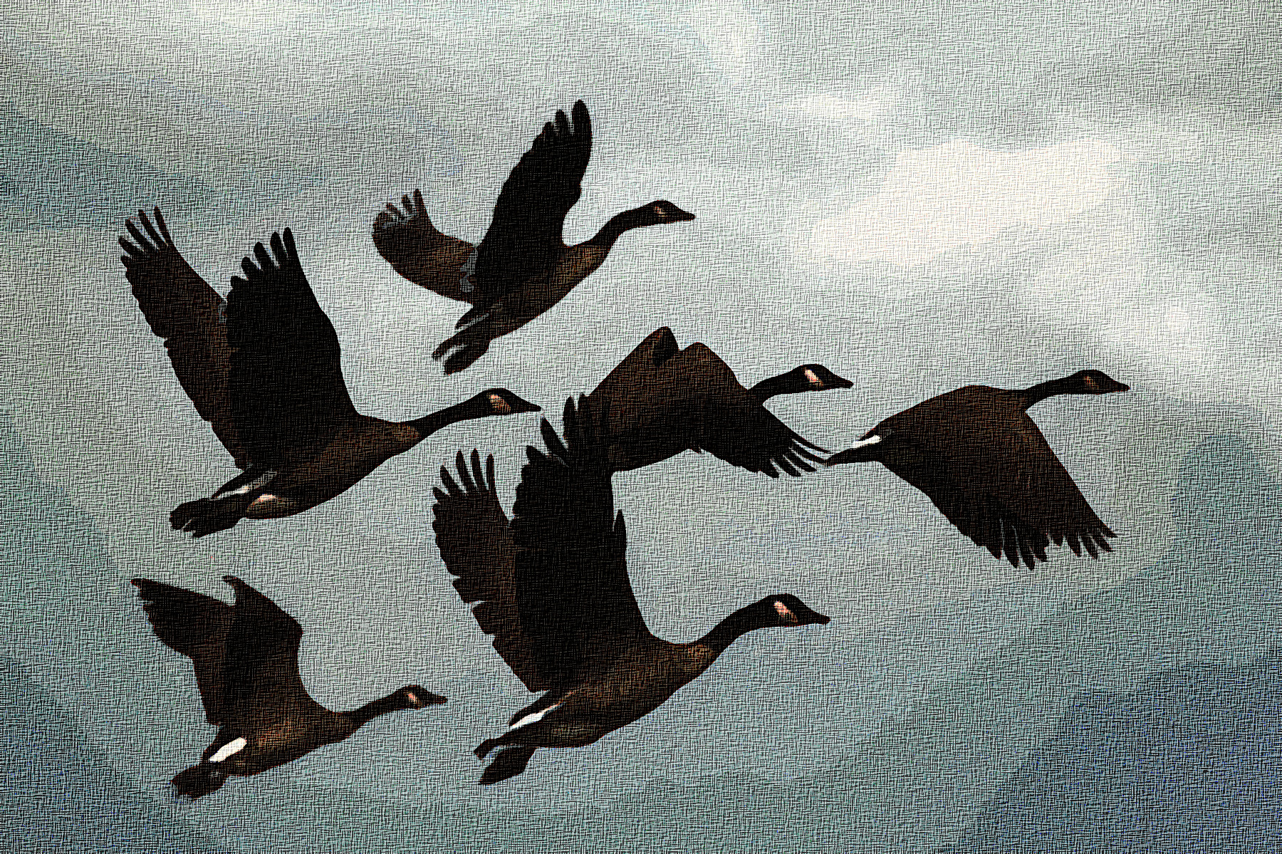 geese-1990202_Graphic_Effect_Illustration_Jvid_X2D.jpg