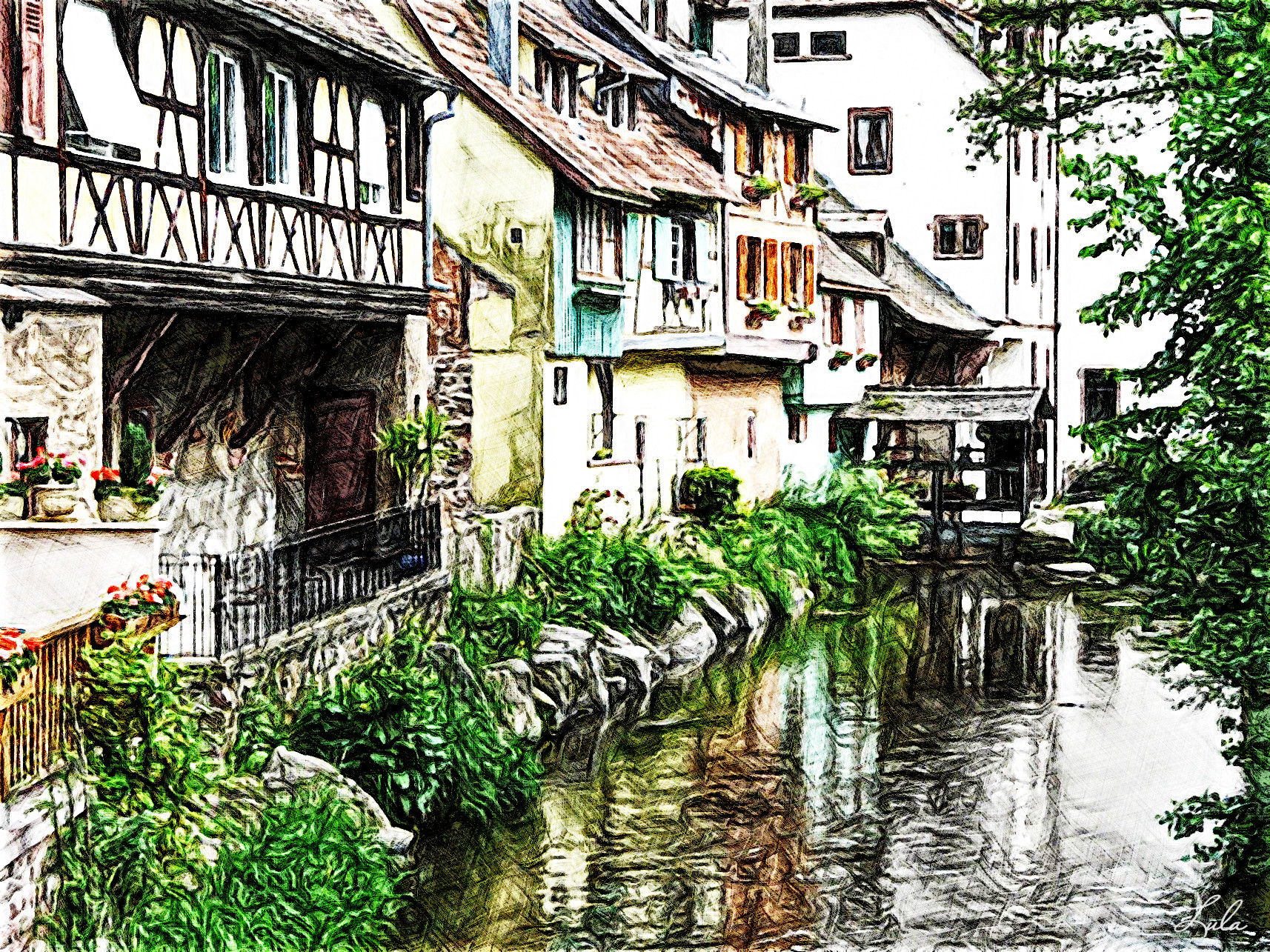 Alsace.JVID.Z.jpg