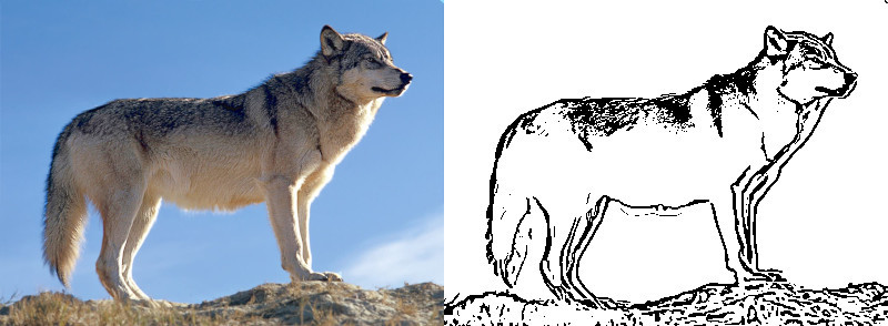 wolf_on_ridge_small_lineArt2.jpg