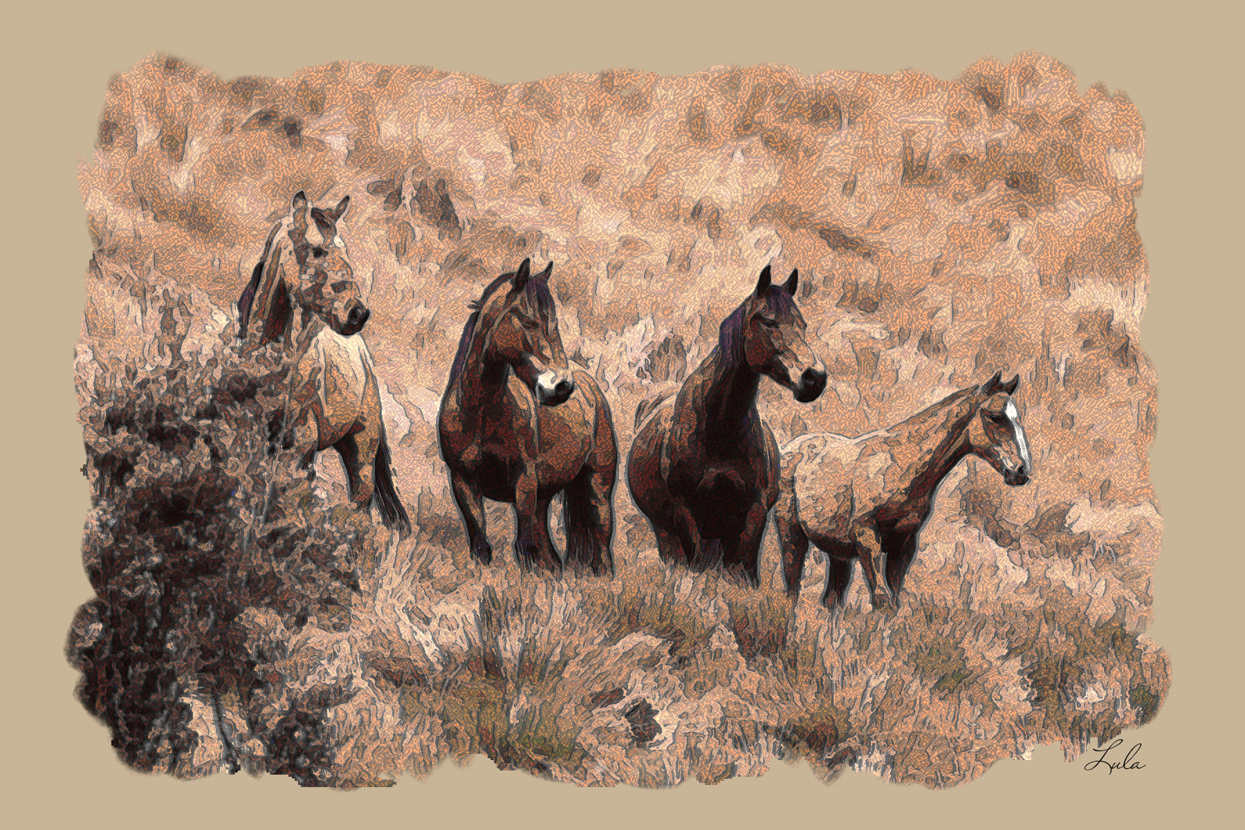 chevaux.DN.DrawText.Coloree.jpg