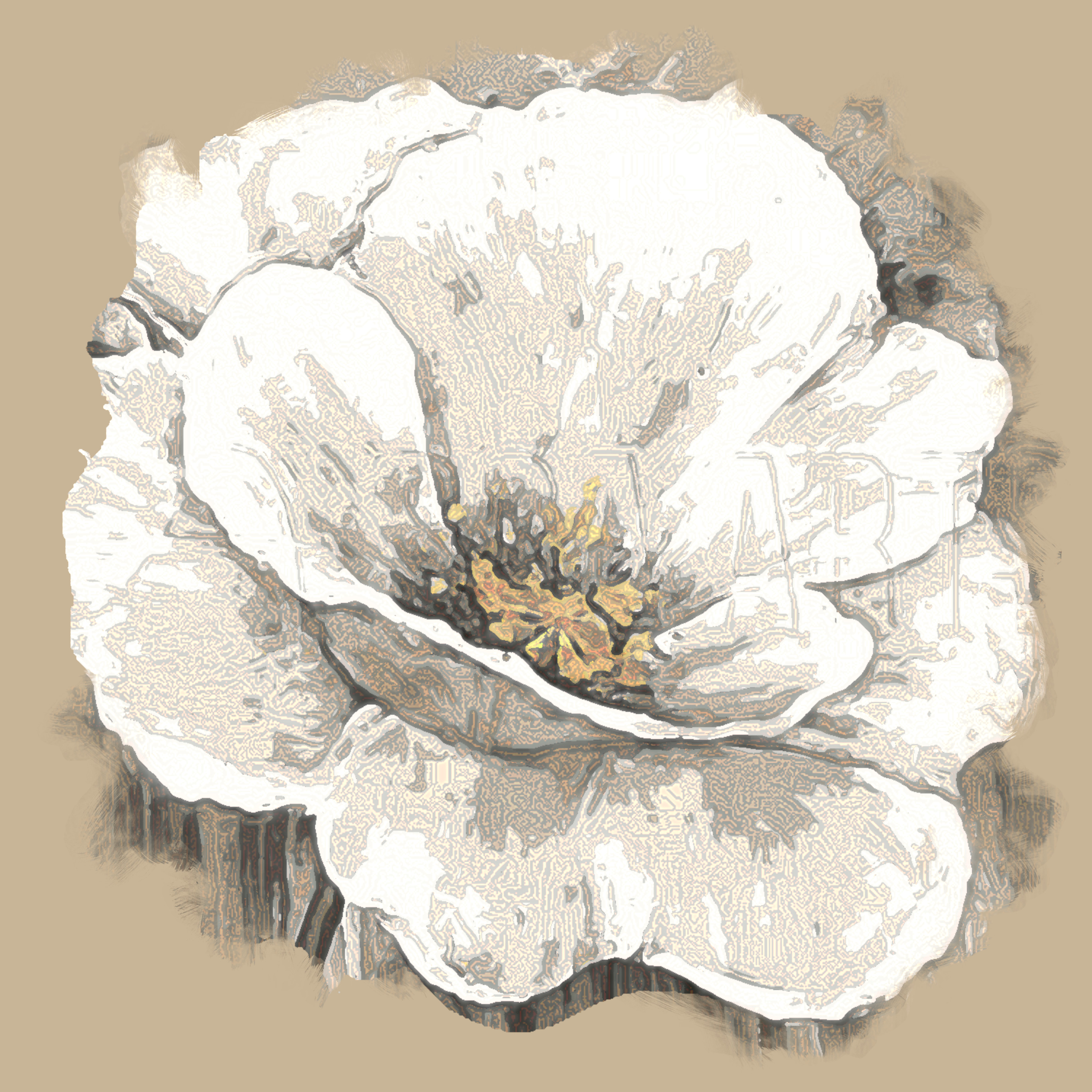 577274_White_Flower_DN_SimpleGraphics_DrawTextureColoree.jpg