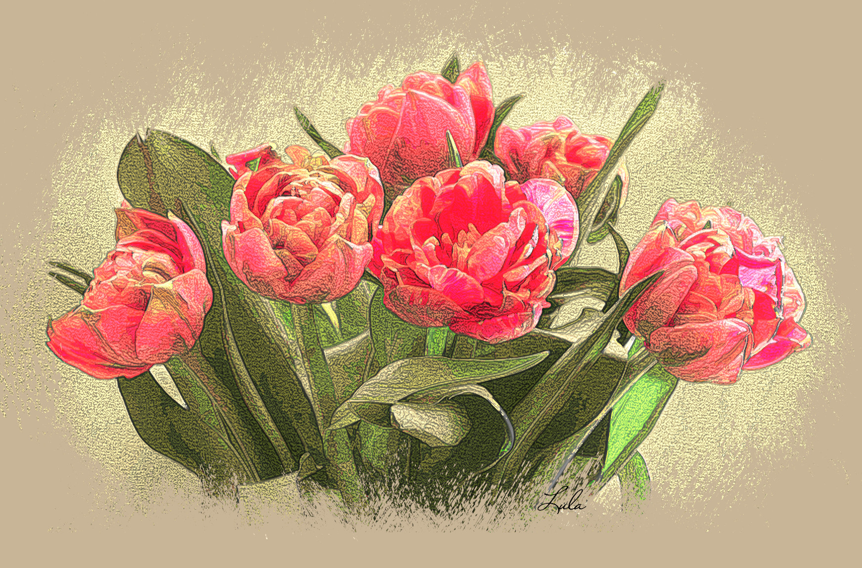 Tulipes.DN.DrawColoree3.jpg