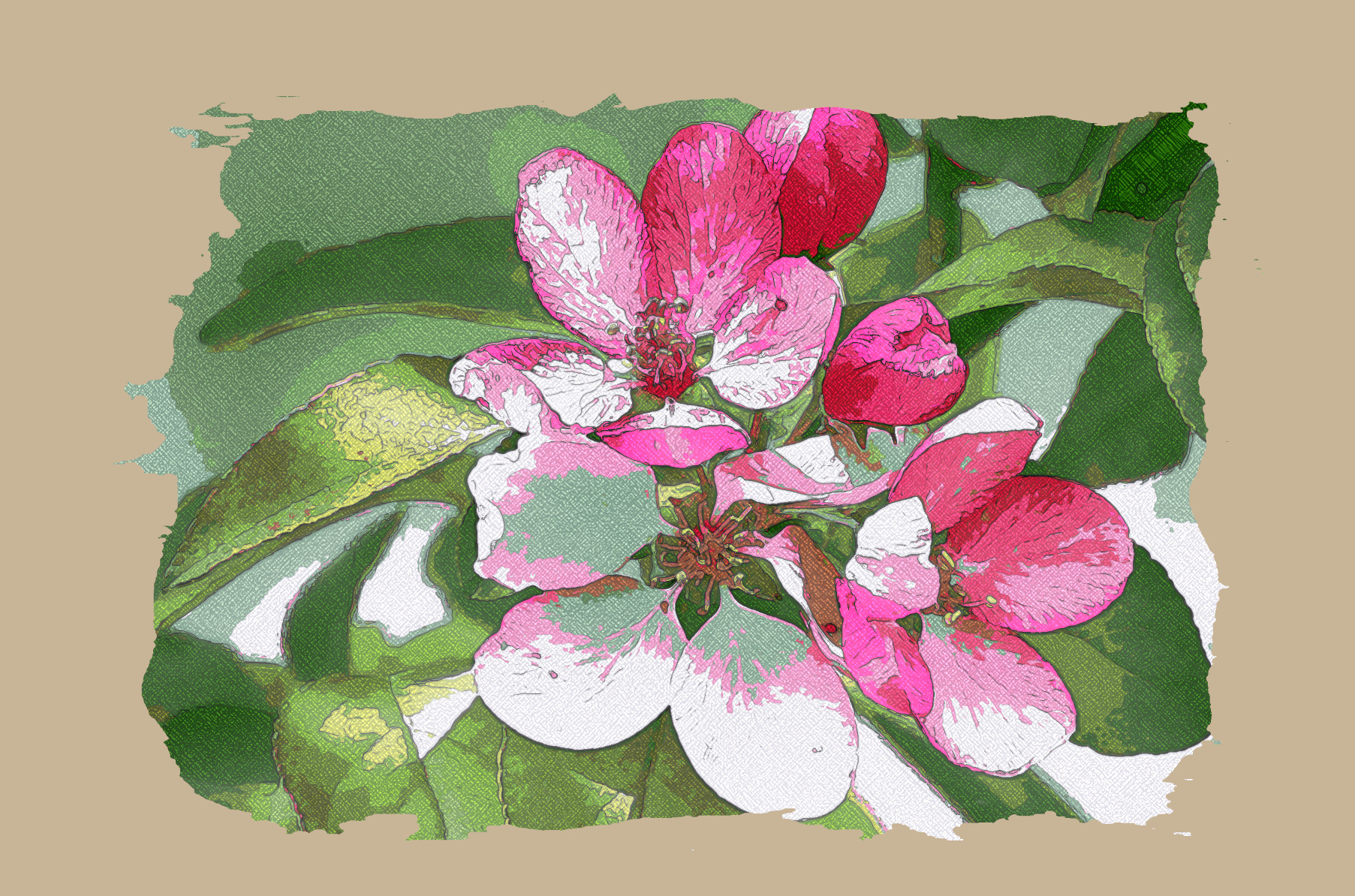 flowers-blooming-4247489_DN_SimpleGraphics_DrawTextureColoree_3.jpg