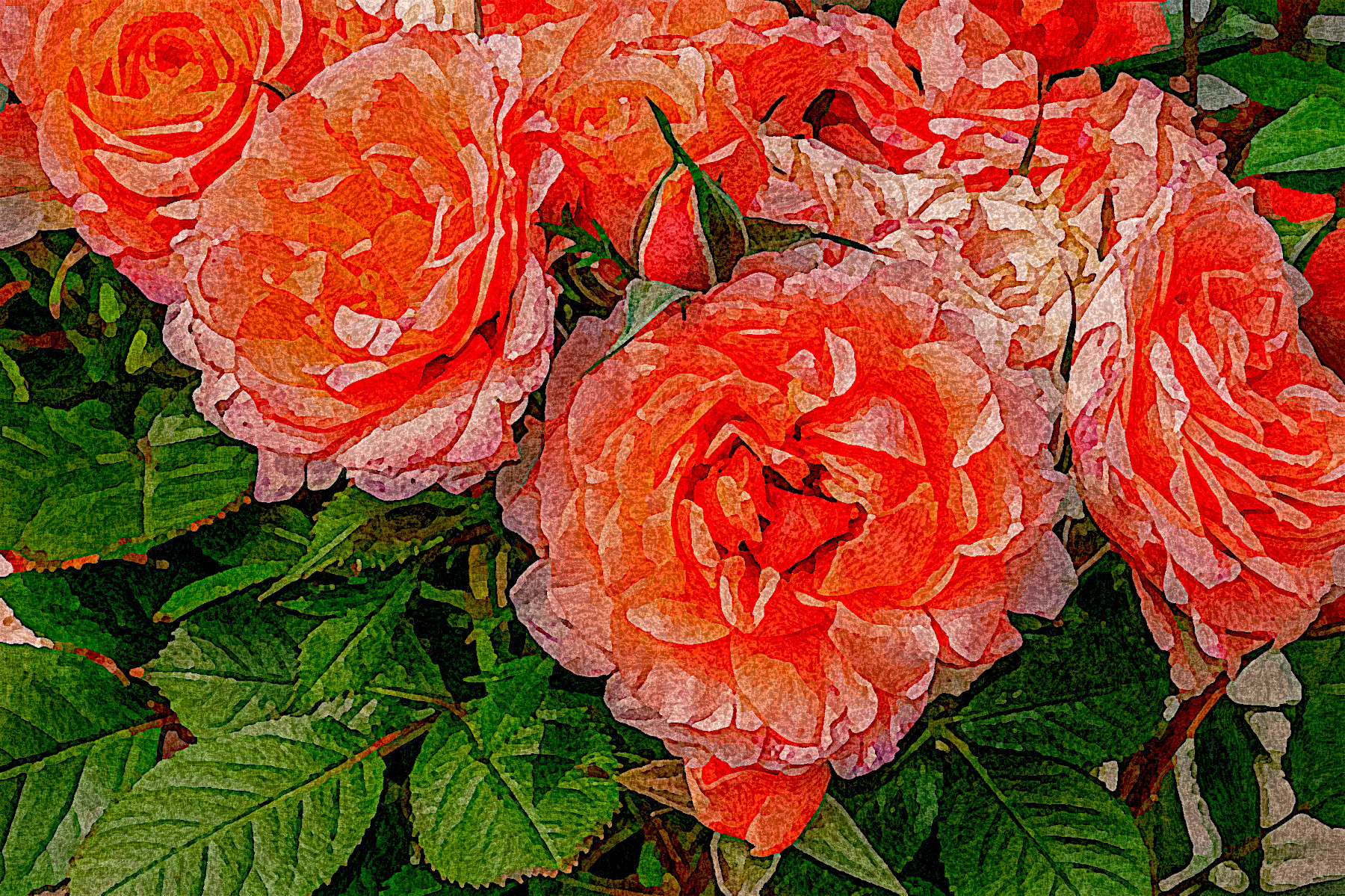 roses-3611502_DN_SimpleGraphics_Edges_Engrave_B_FB_F_LT.jpg