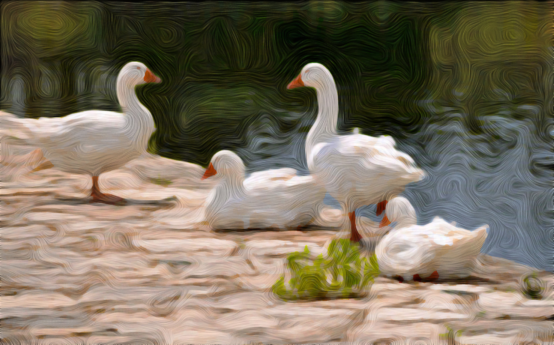Ducks_2022-01-09 174155_DN_SimpleGraphics_FingerPaint_with colours-rayees.jpg