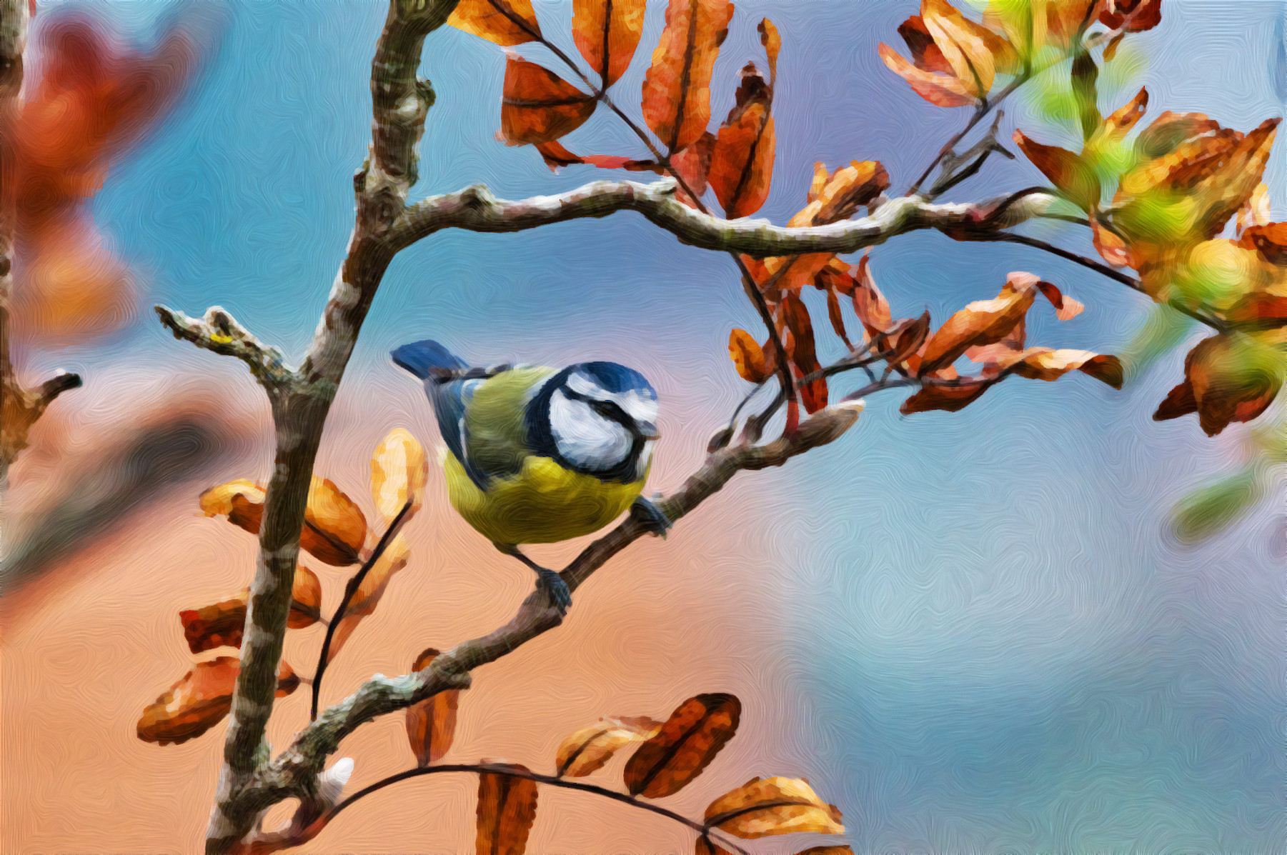 blue-tit-6908151_DN_SimpleGraphics_FingerPaint_with colours-rayees_B_N_F.jpg