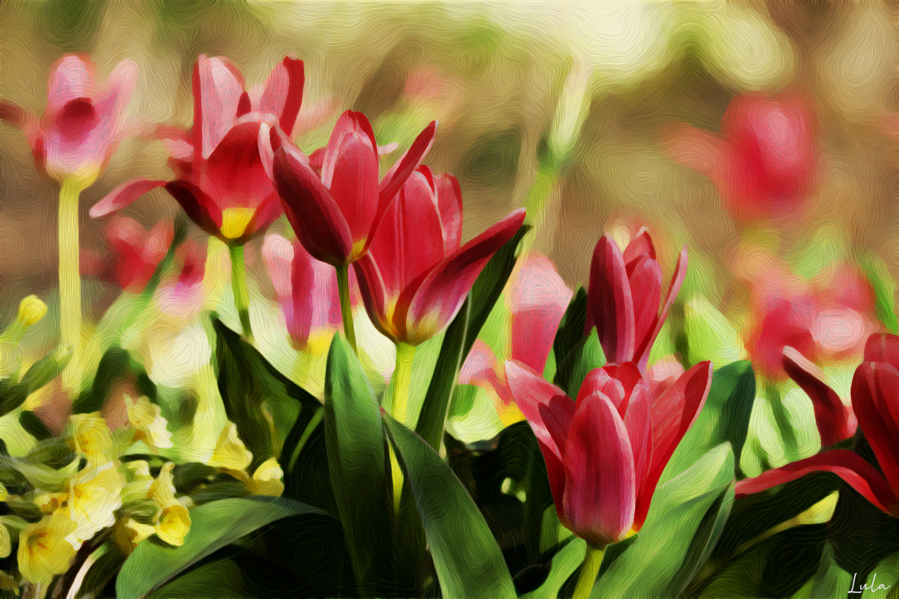 Tulipes.DN.FingerPaintB.CB2.Reg.8.Addition50%.jpg
