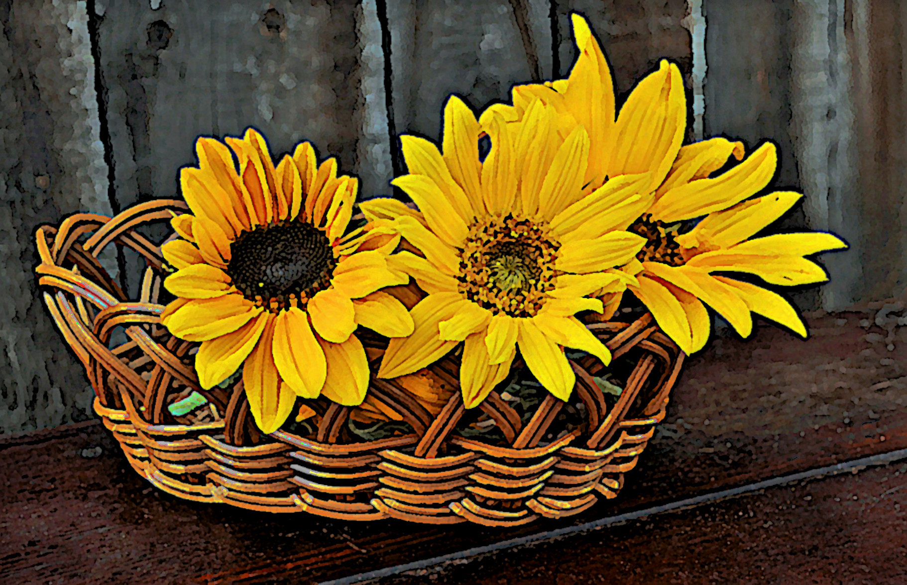 2022-02-03 08-56-07sunflowers-geccbdadf6_1280 with a gouache painting look (effect look regular).jpeg