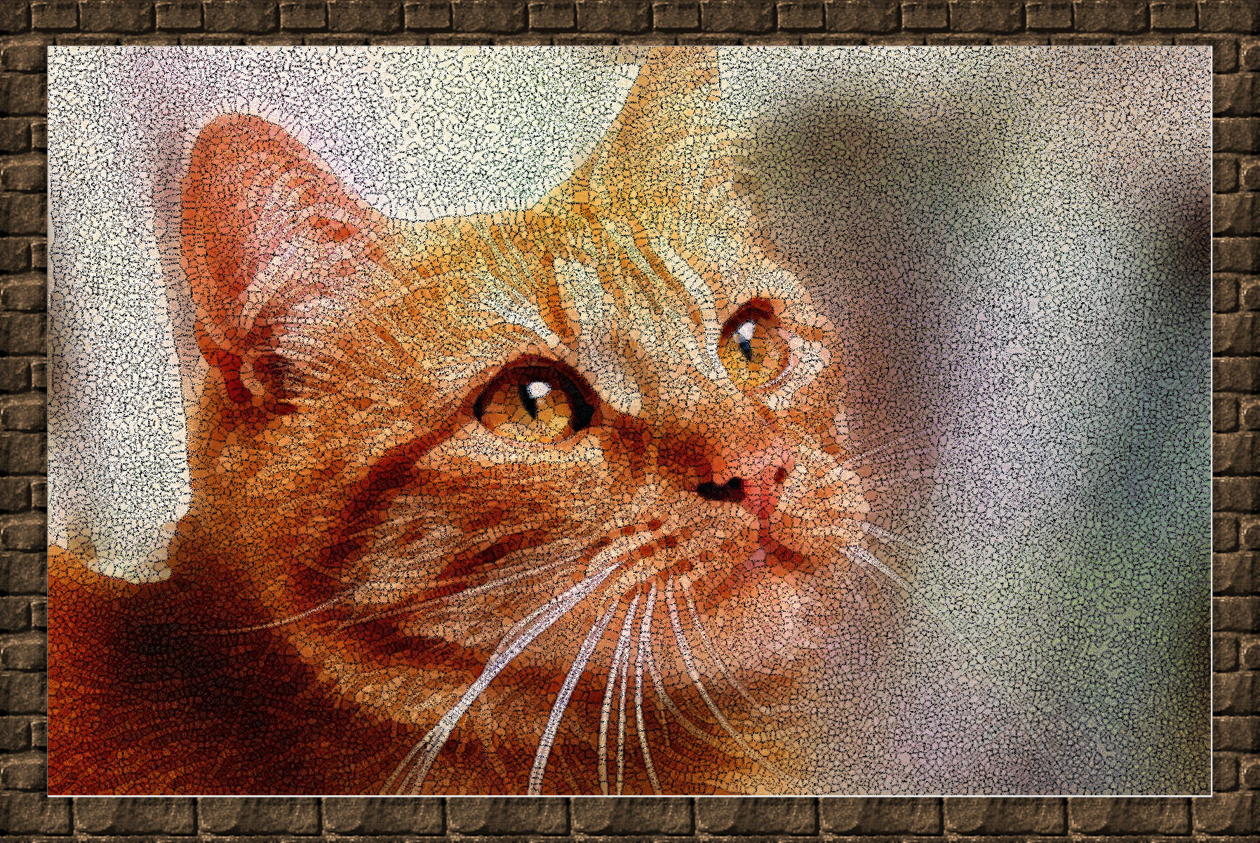 cat-5496162_DN_Simple_Graphics_Mosaic_Texture_Coloree.jpg