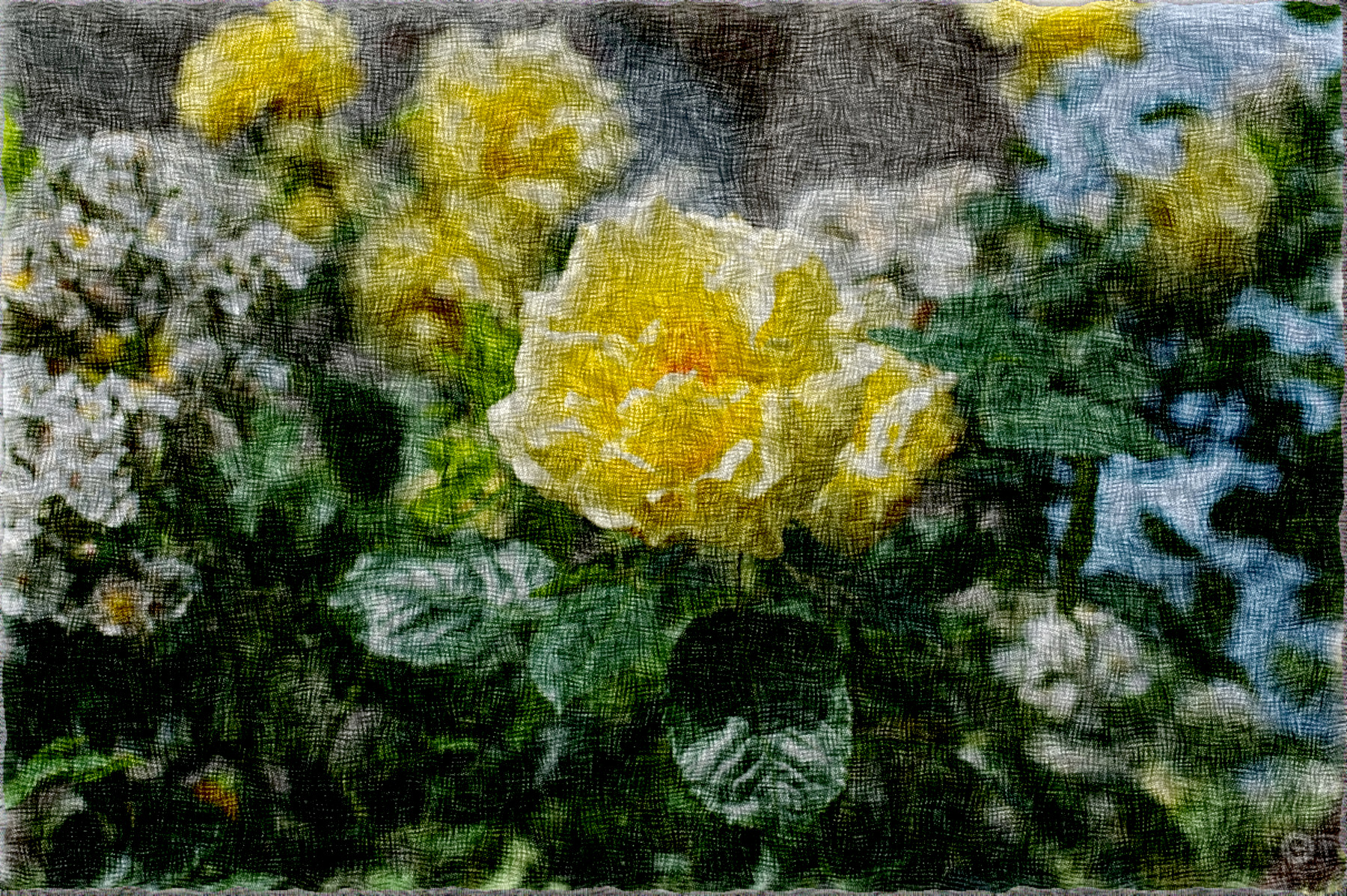 Background_with_Yellow_Roses_DN_Simple_Graphics_PaintOnHandmadeCanvas_B.jpg